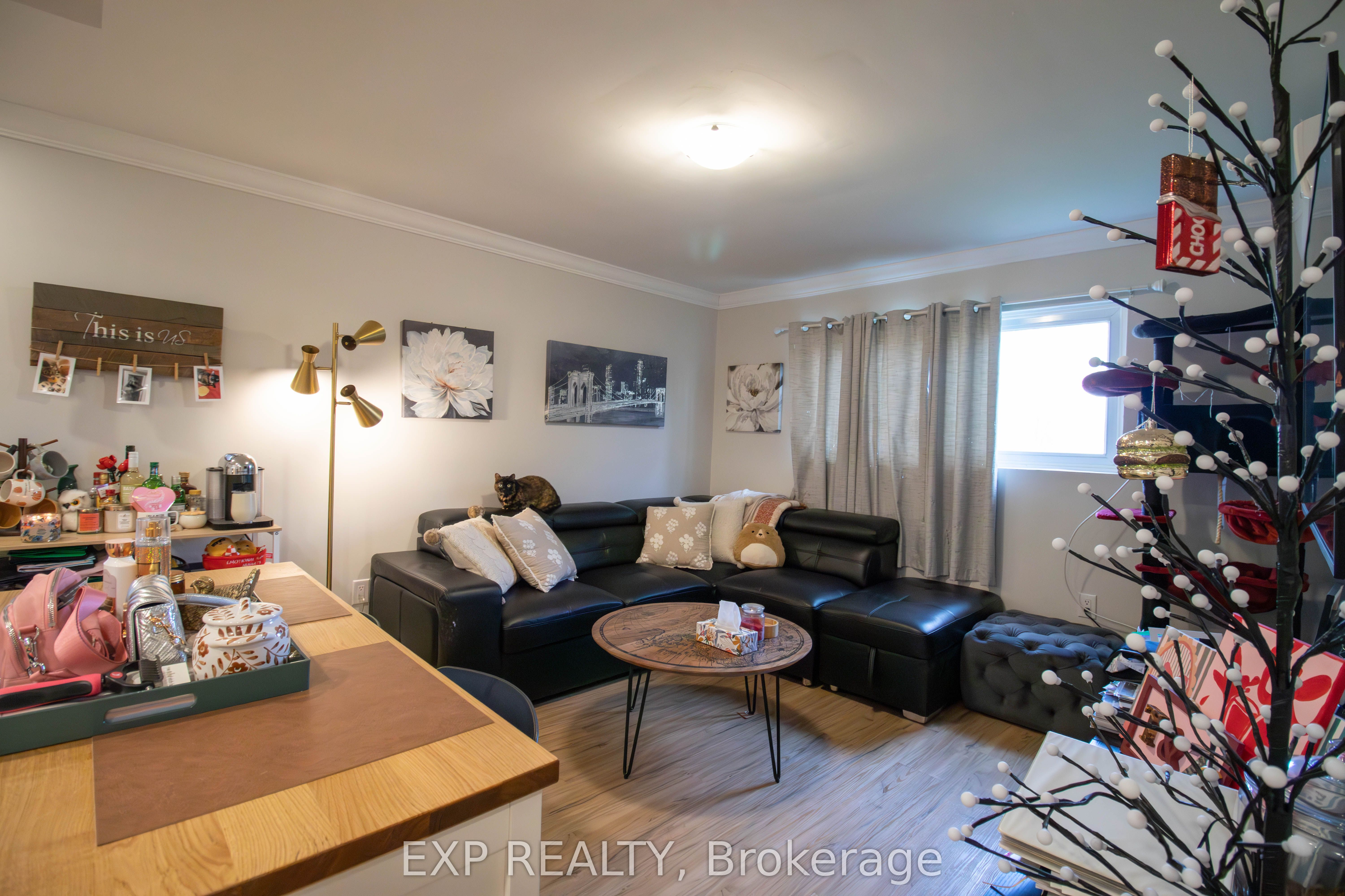 81 Empire Street Property Photo 18