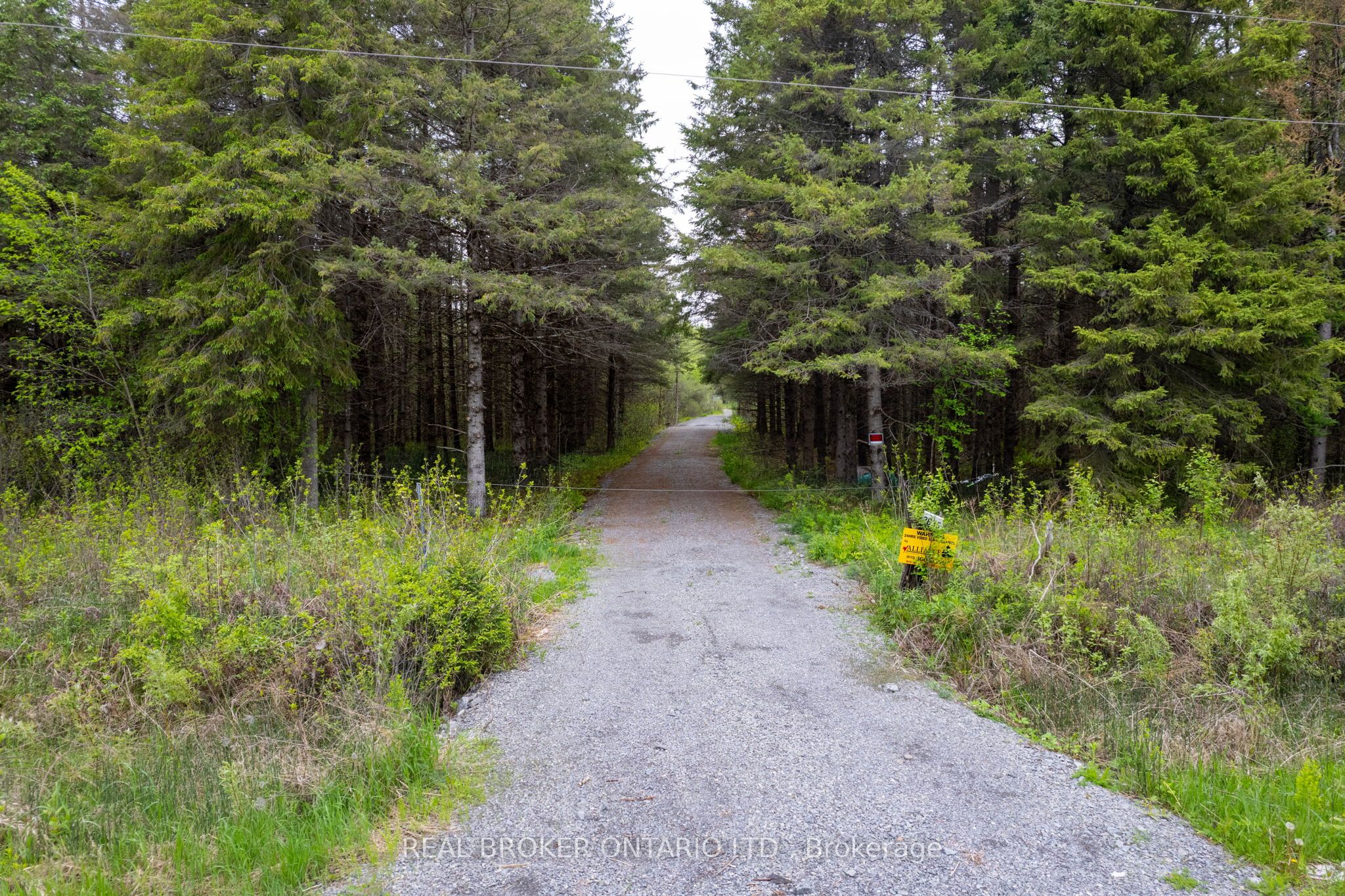 2635 Mcmullen Road Property Photo 8
