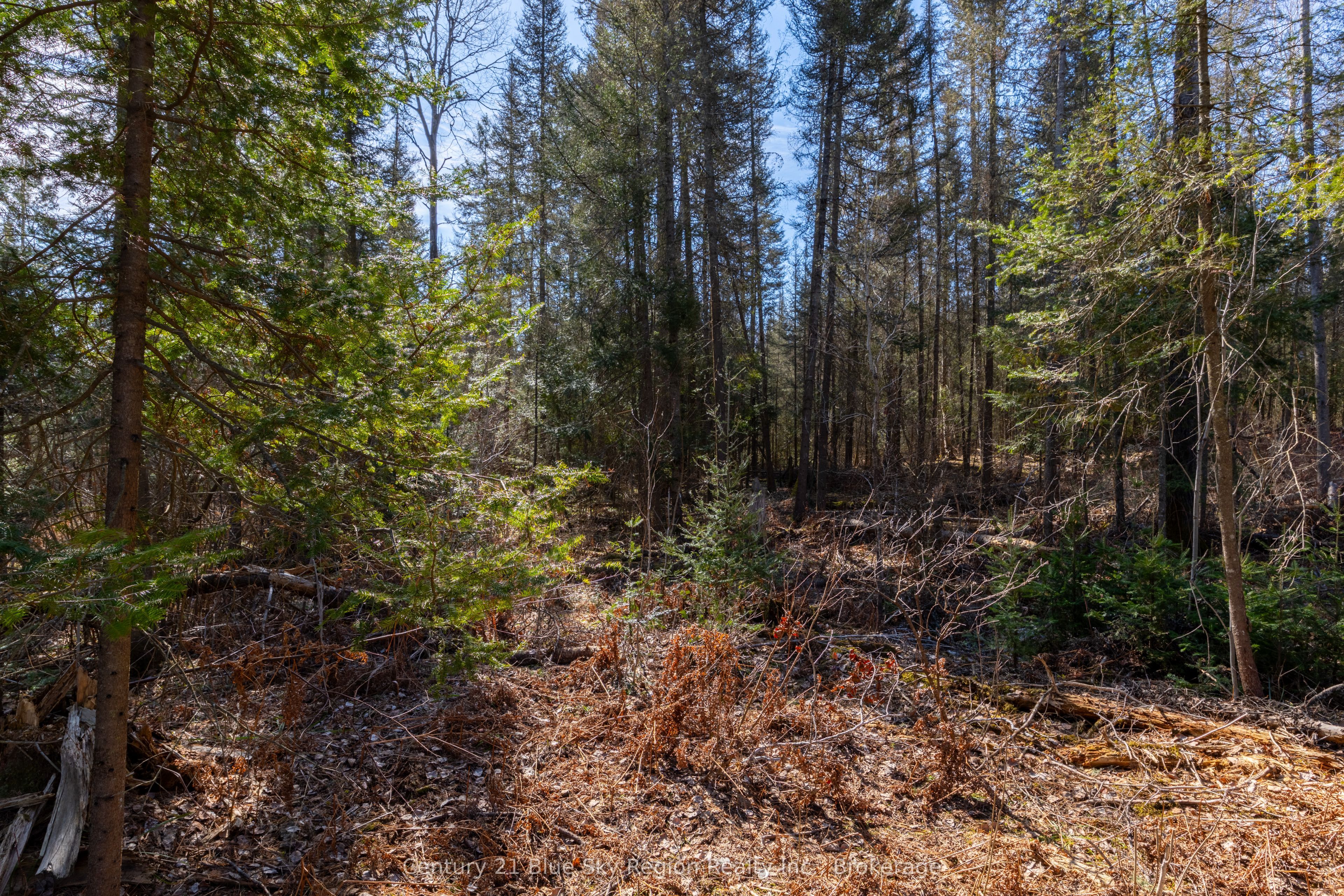 144 Lavigne Road Property Photo 4