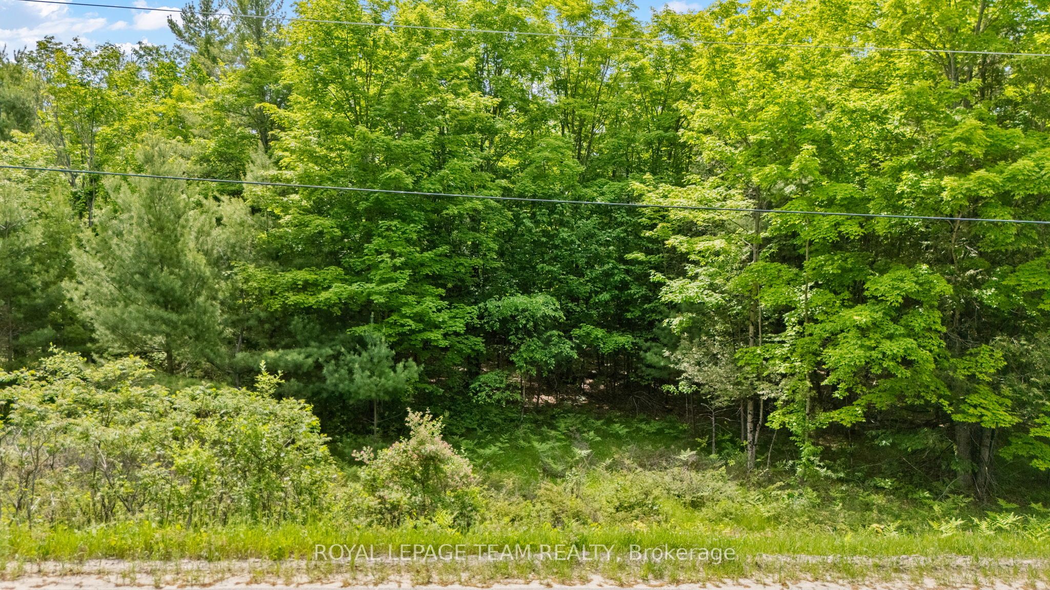 00 Maple Street Property Photo 1
