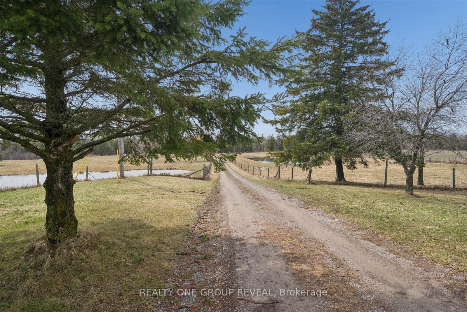 2469 Asphodel 11th Line Property Photo 8