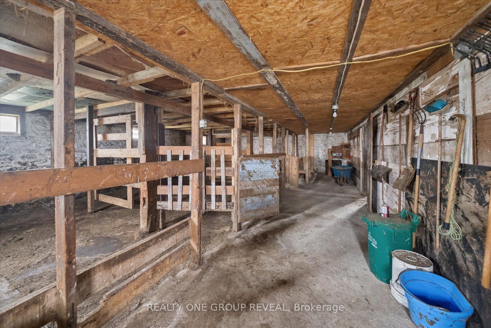 2469 Asphodel 11th Line Property Photo 42