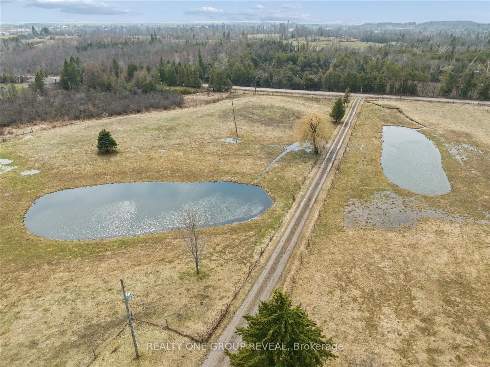 2469 Asphodel 11th Line Property Photo 50