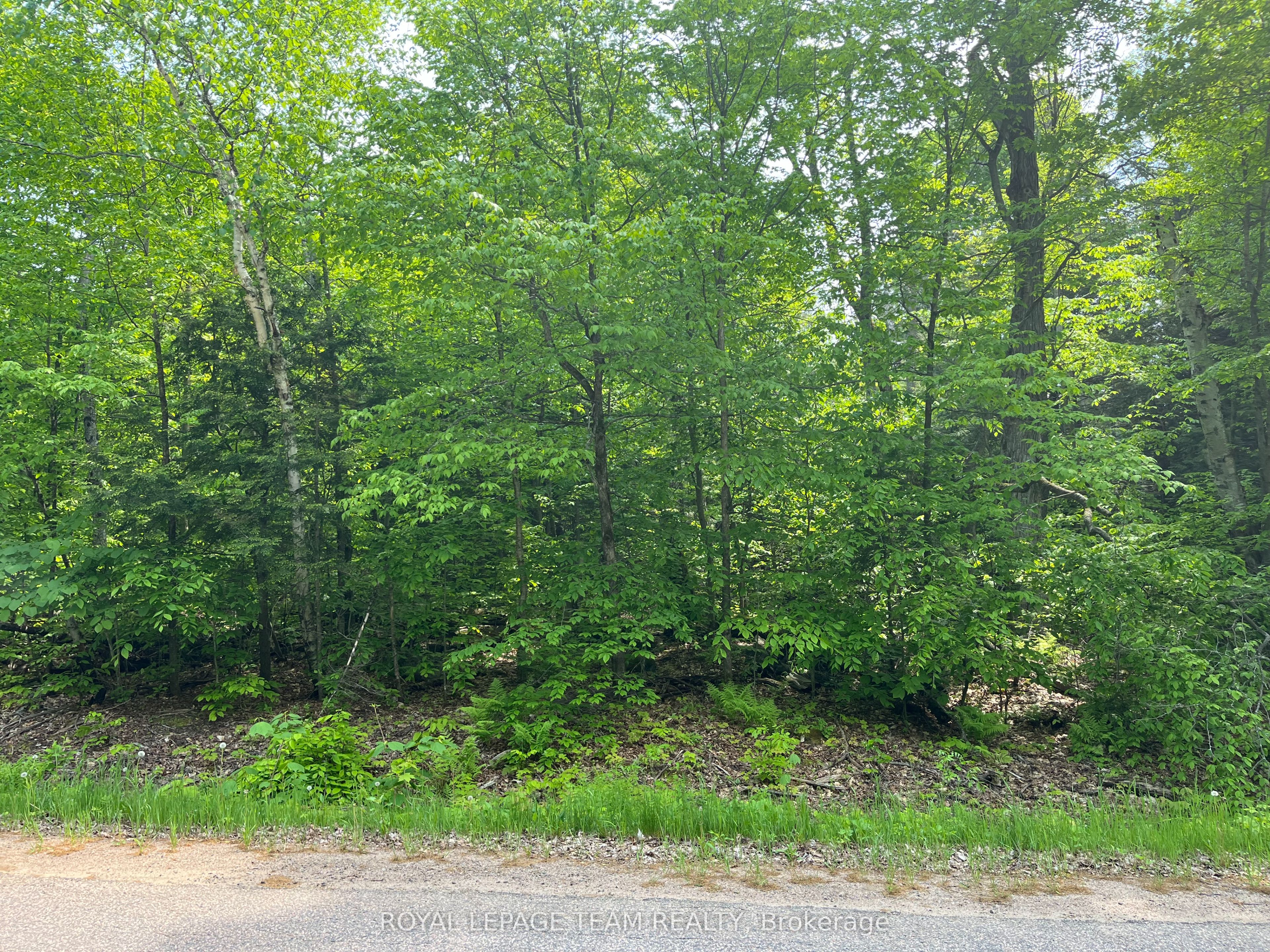 387 Sunny Hill Road Property Photo 1