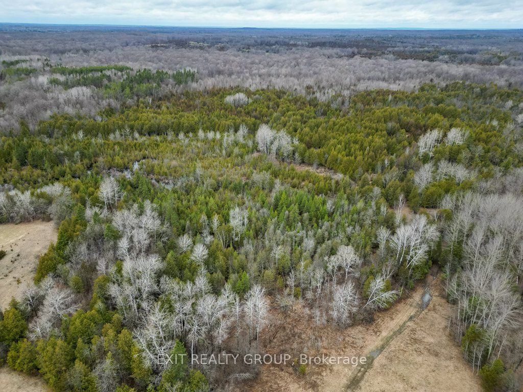755 Naphan Road Property Photo 16