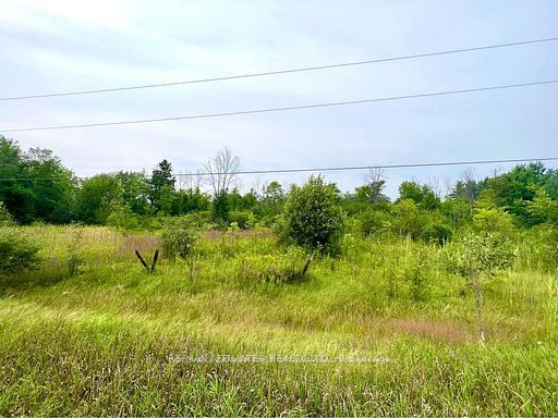 20010 Highway 7 Highway Property Photo 6