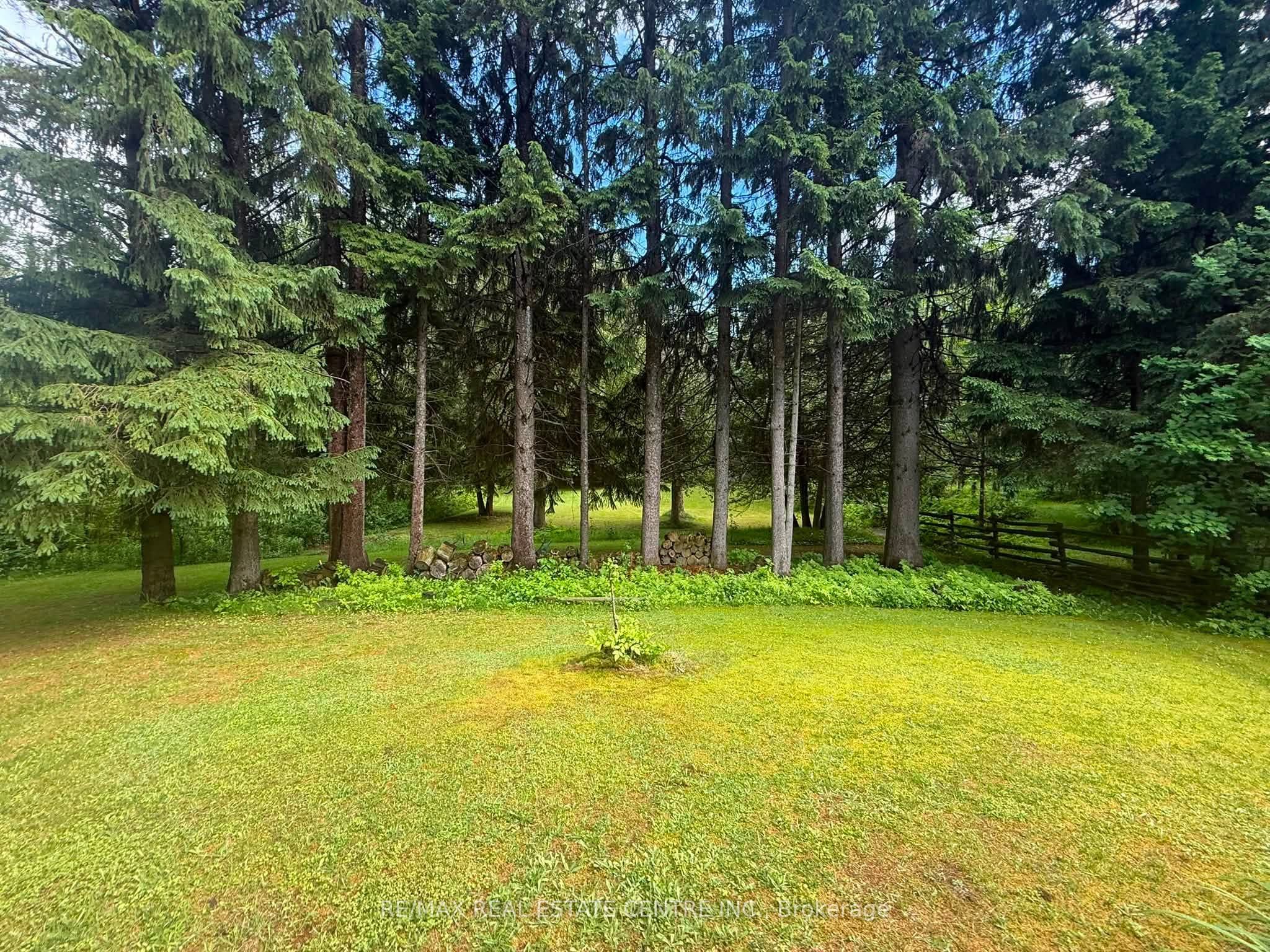 21 Mccutcheon Road Property Photo 22