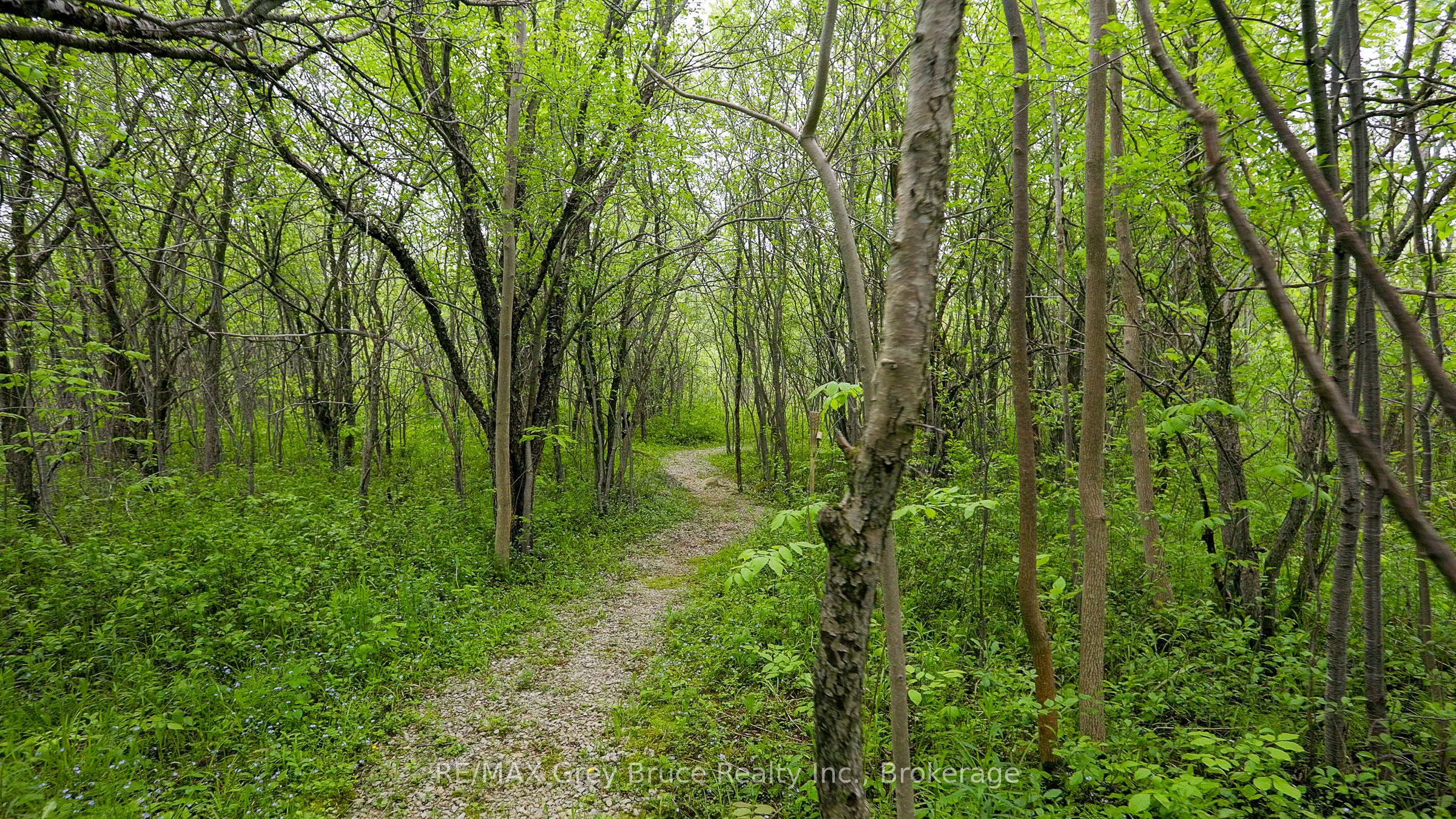 350293 A Concession Property Photo 42