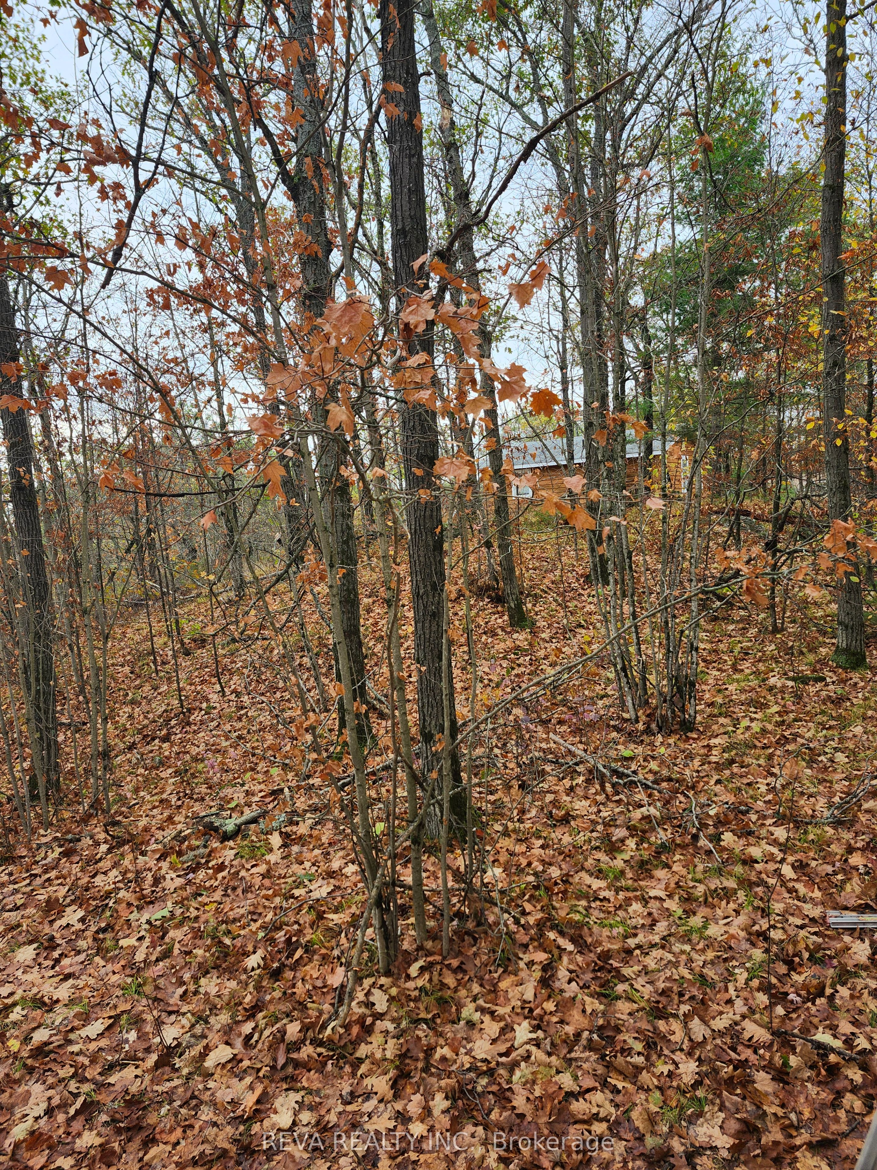 00 Baker Valley Road Property Photo 10