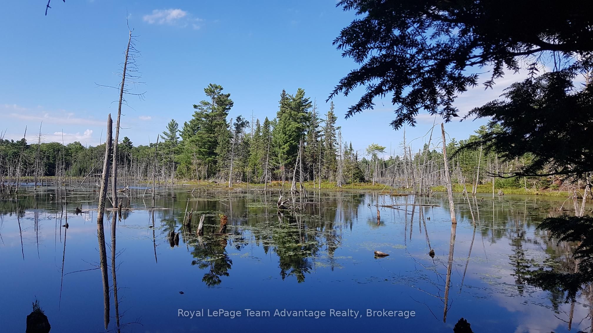 0 Unopened Road Allowance Road Property Photo 2