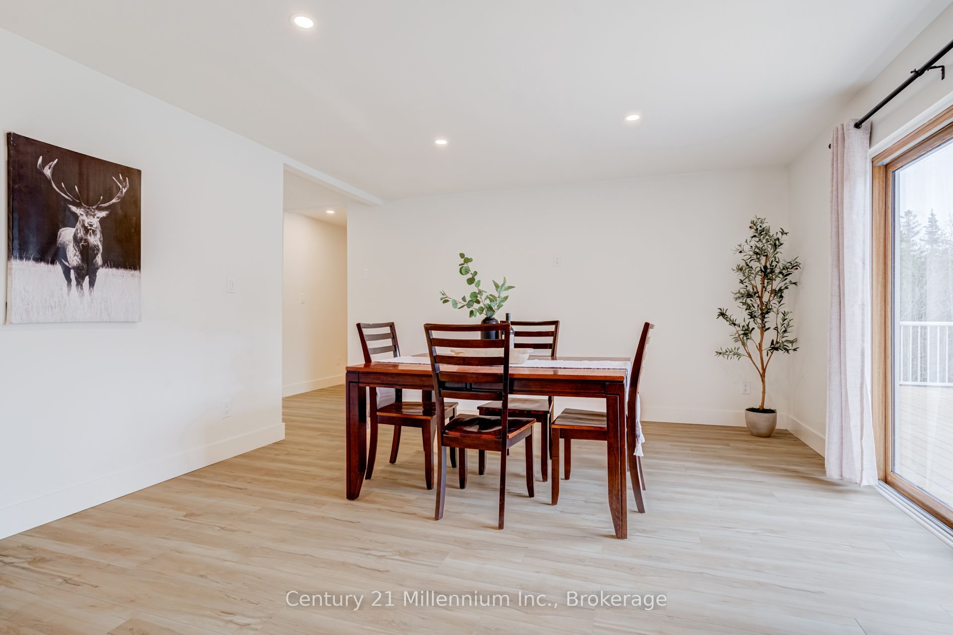 12 Nicholas Street Property Photo 13