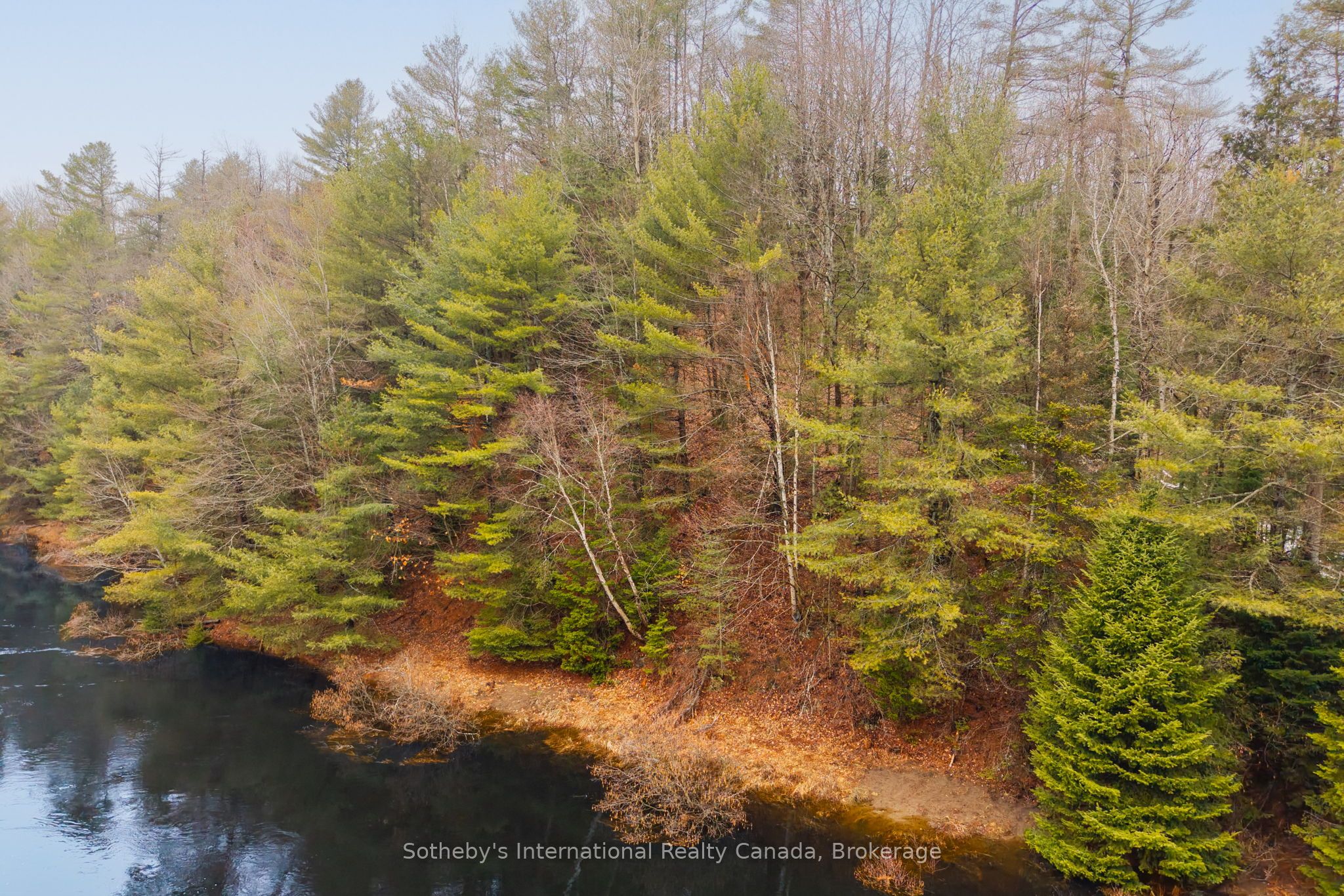 1000 Alpine Ranch Road Property Photo 7
