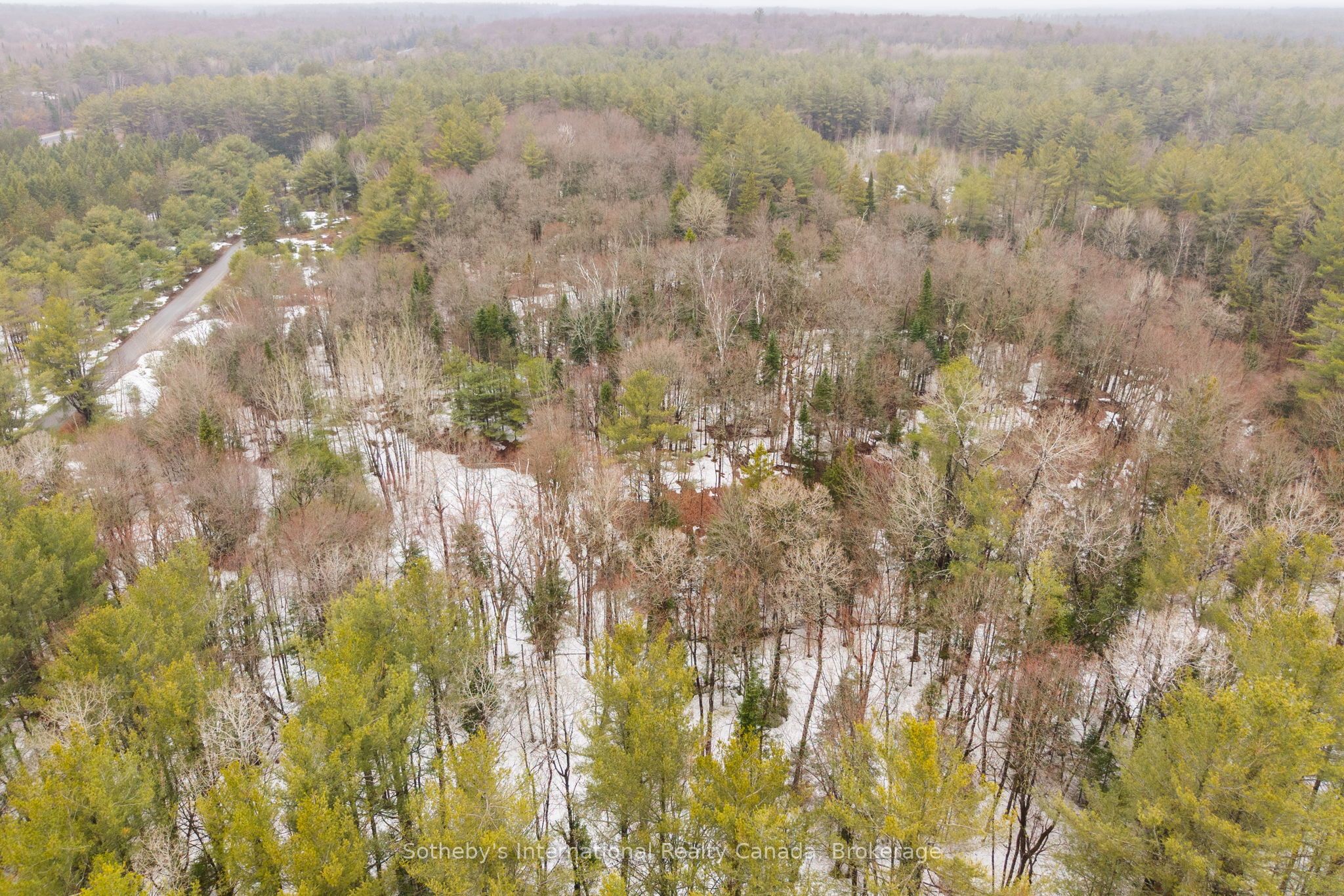 1000 Alpine Ranch Road Property Photo 22