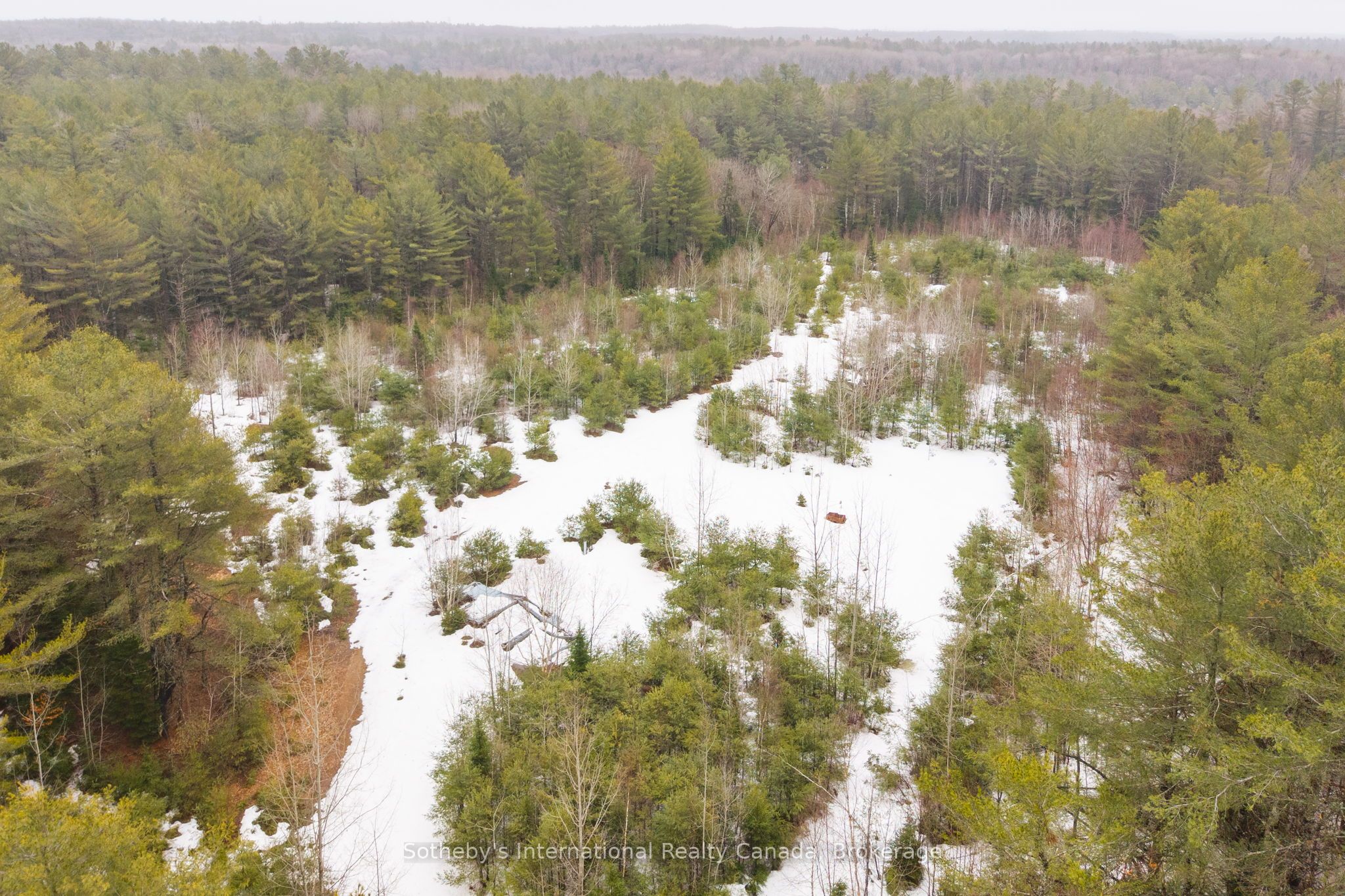 1000 Alpine Ranch Road Property Photo 24