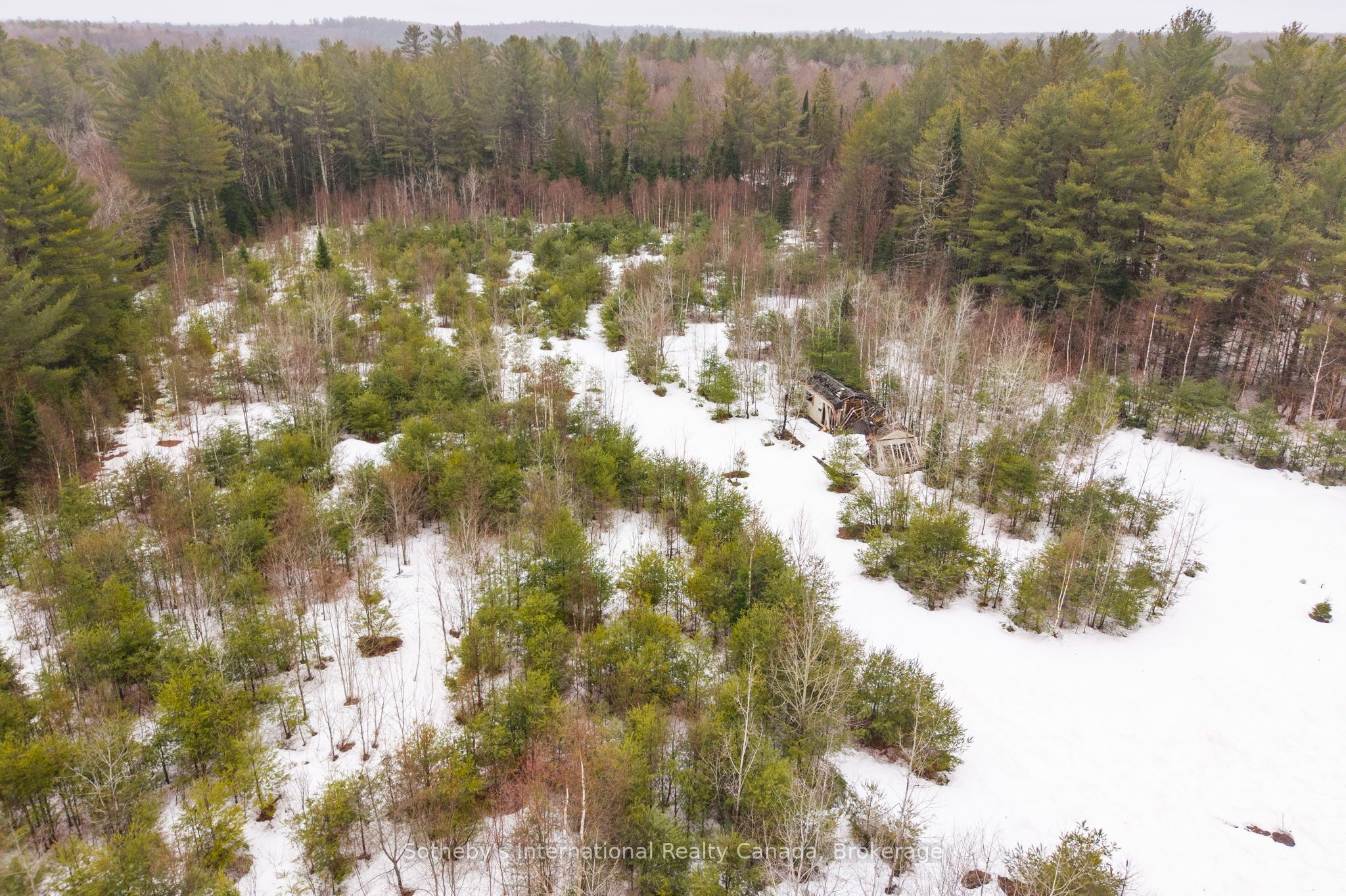 1000 Alpine Ranch Road Property Photo 26