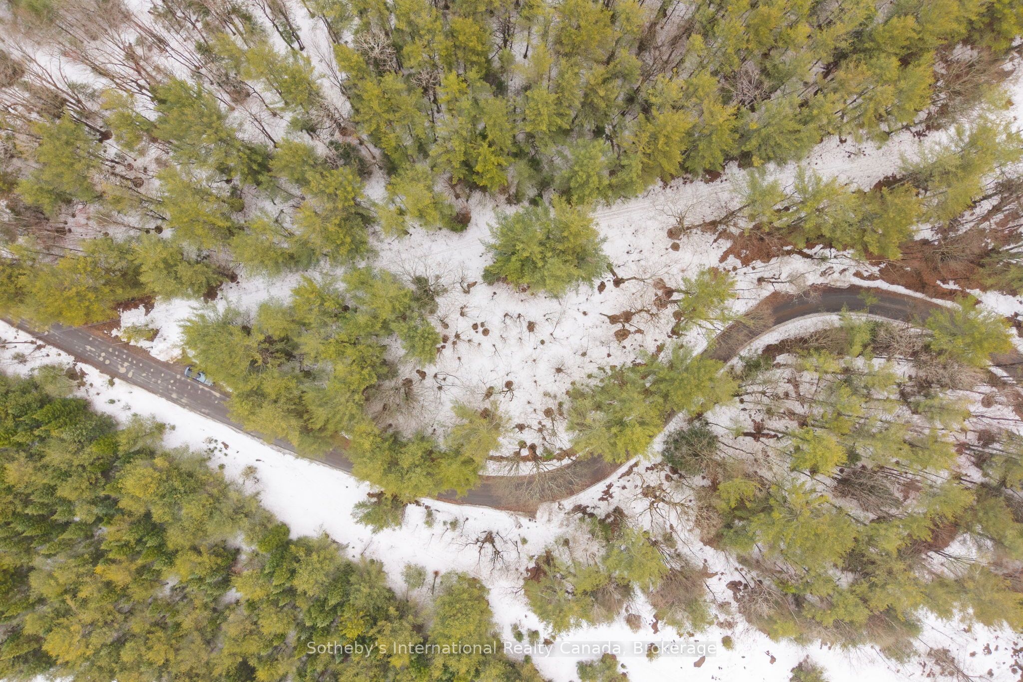 1000 Alpine Ranch Road Property Photo 28
