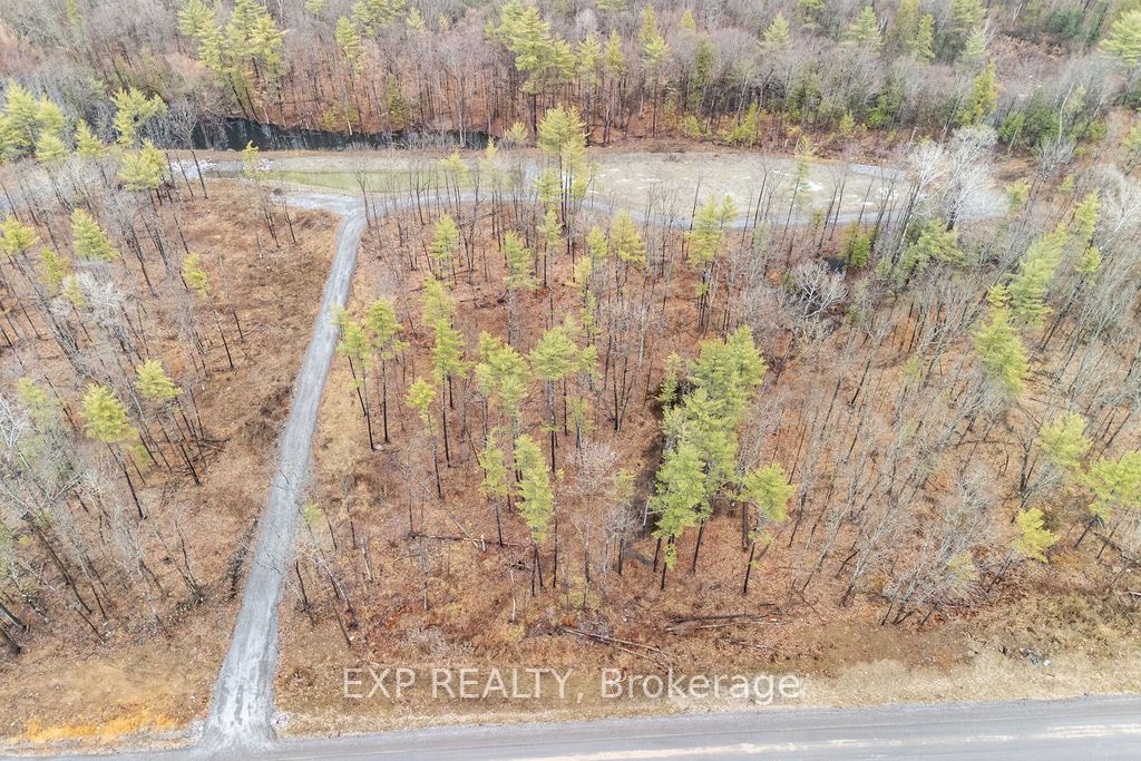 00 Longleaf Way Property Photo 6