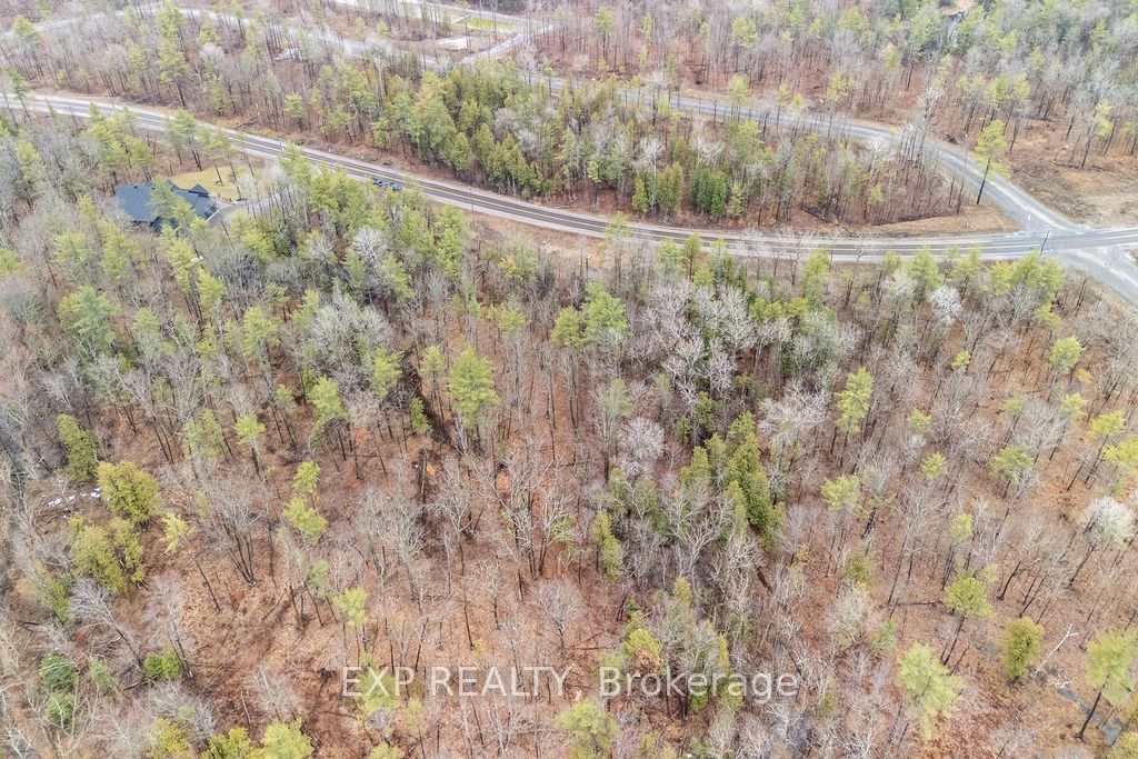 00 Longleaf Way Property Photo 8
