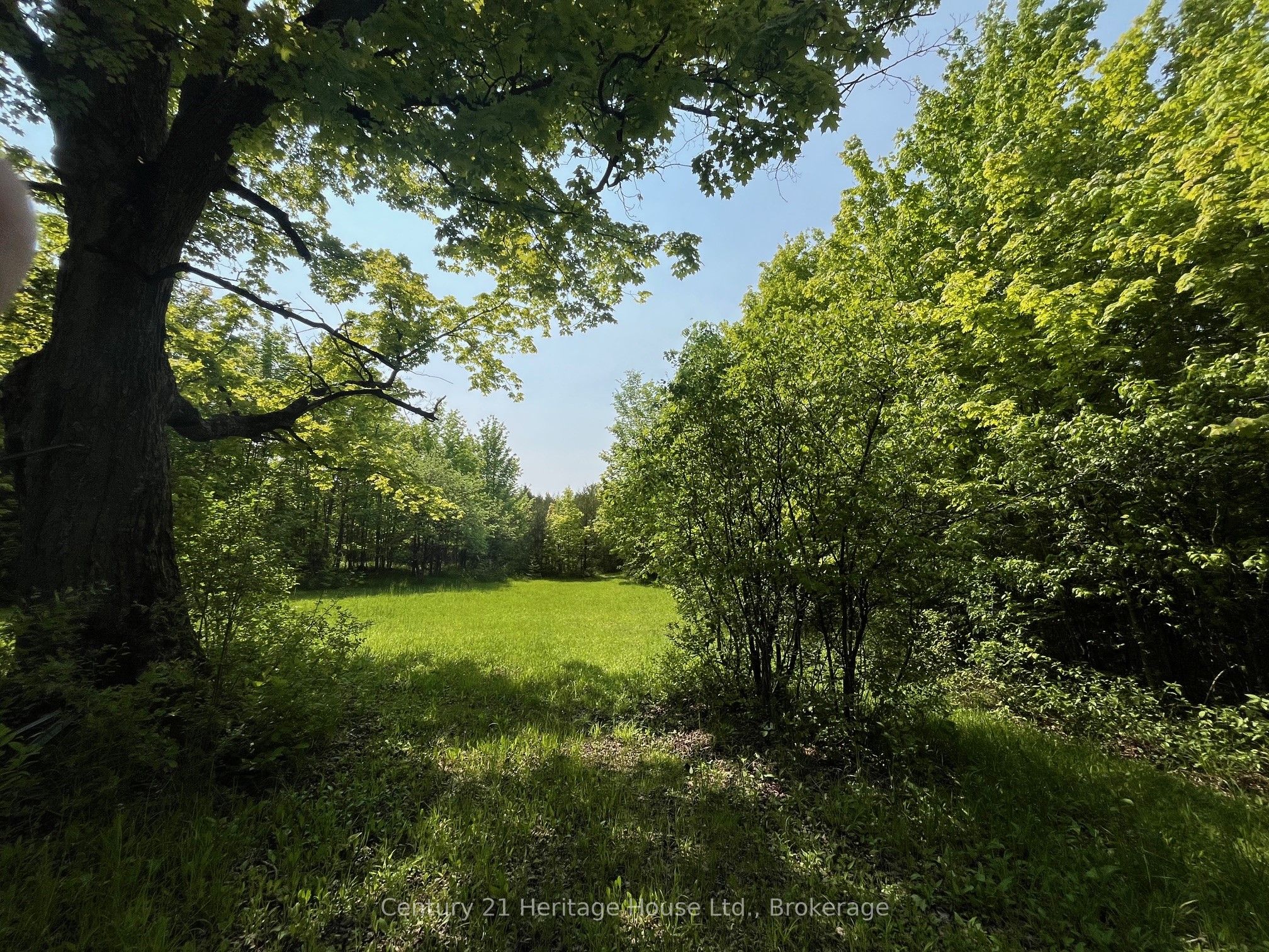 502774 Sideroad 9 Wgr Property Photo 6