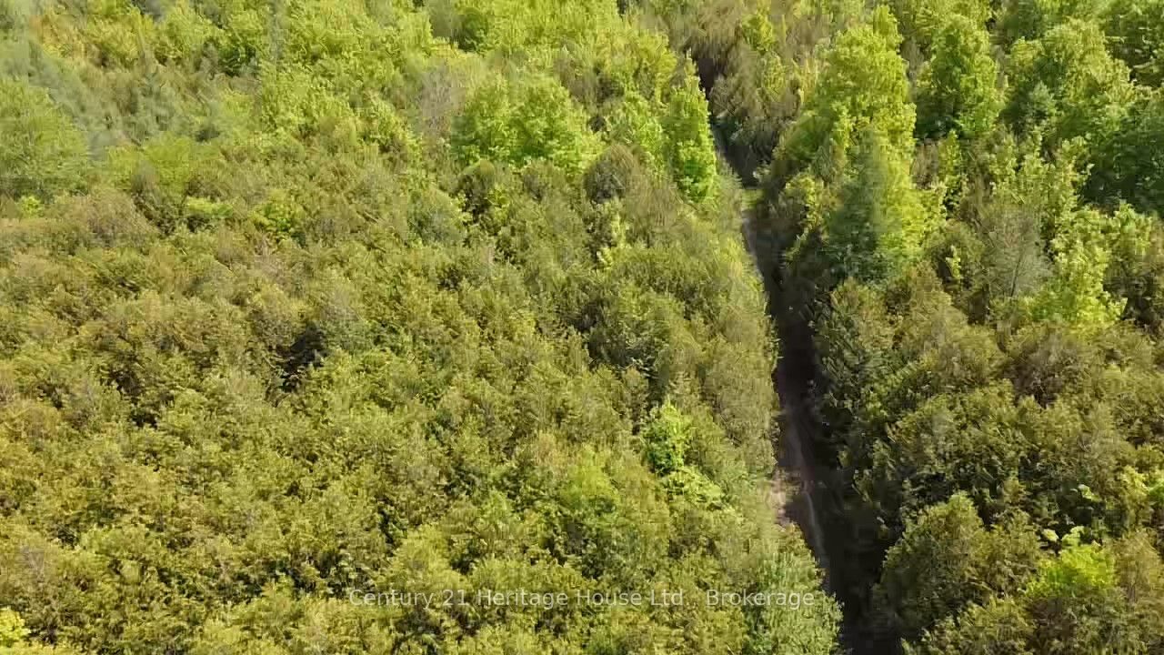 502774 Sideroad 9 Wgr Property Photo 7