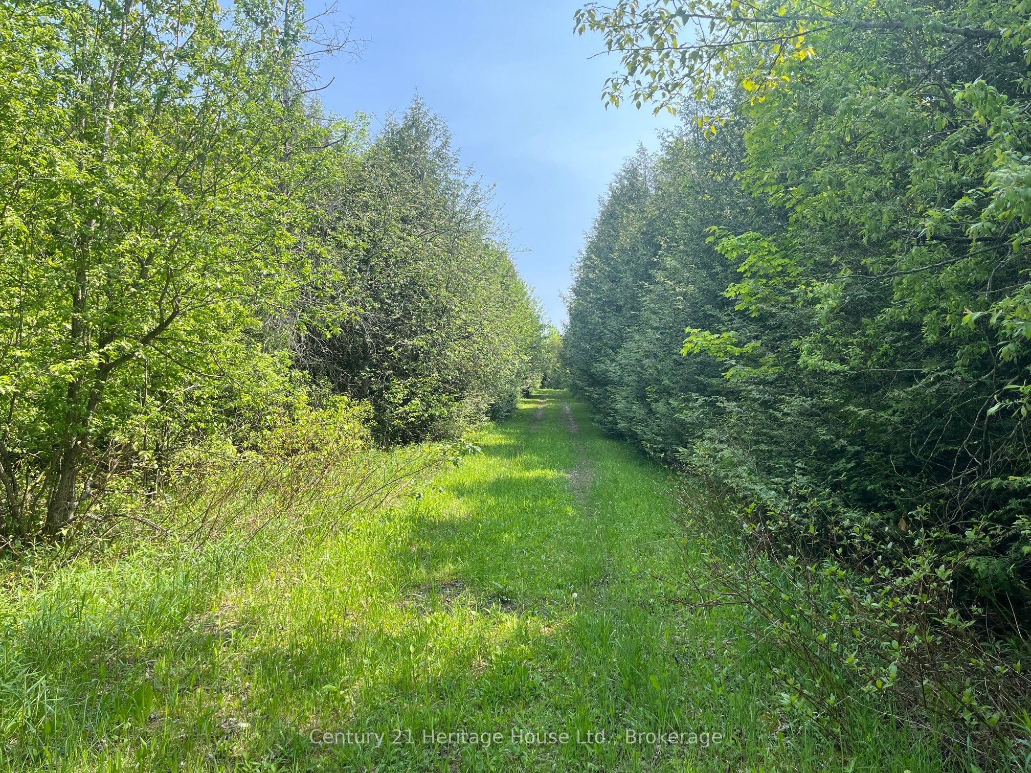 502774 Sideroad 9 Wgr Property Photo 8