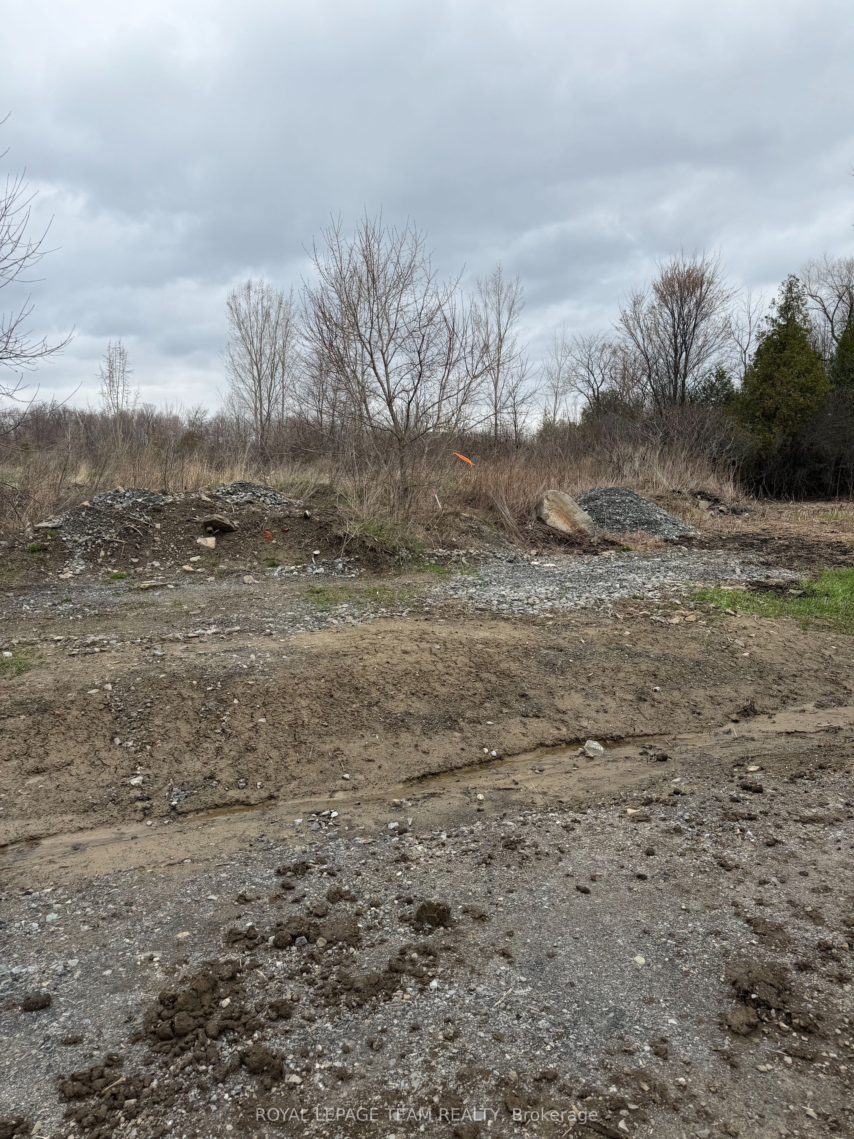 8050 Adam Baker Way Property Photo 5