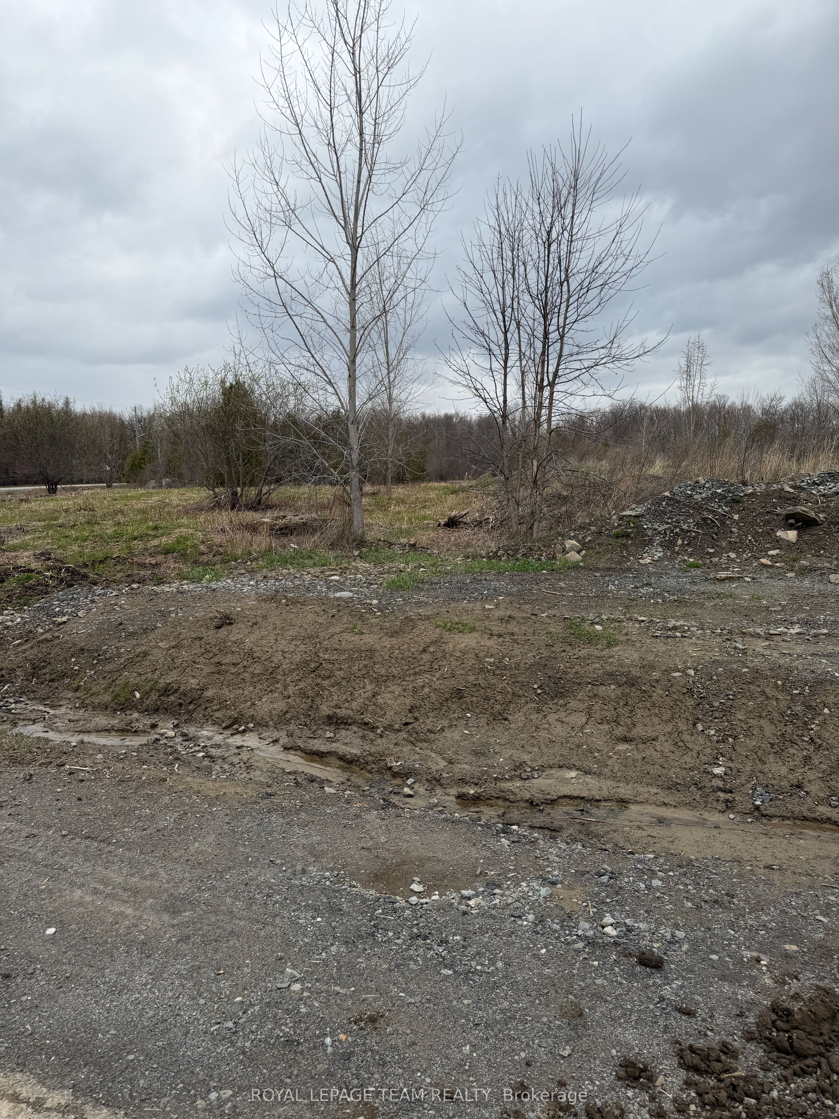 8050 Adam Baker Way Property Photo 6
