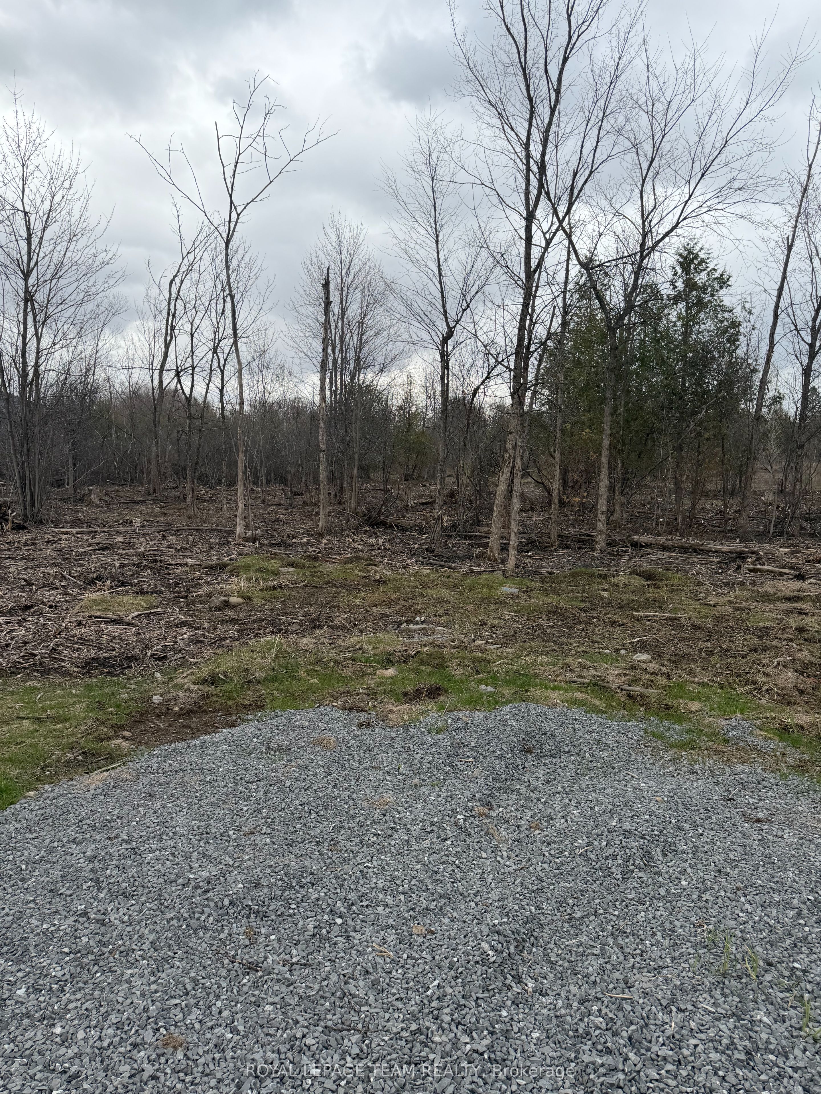 8074 Adam Baker Way Property Photo 3