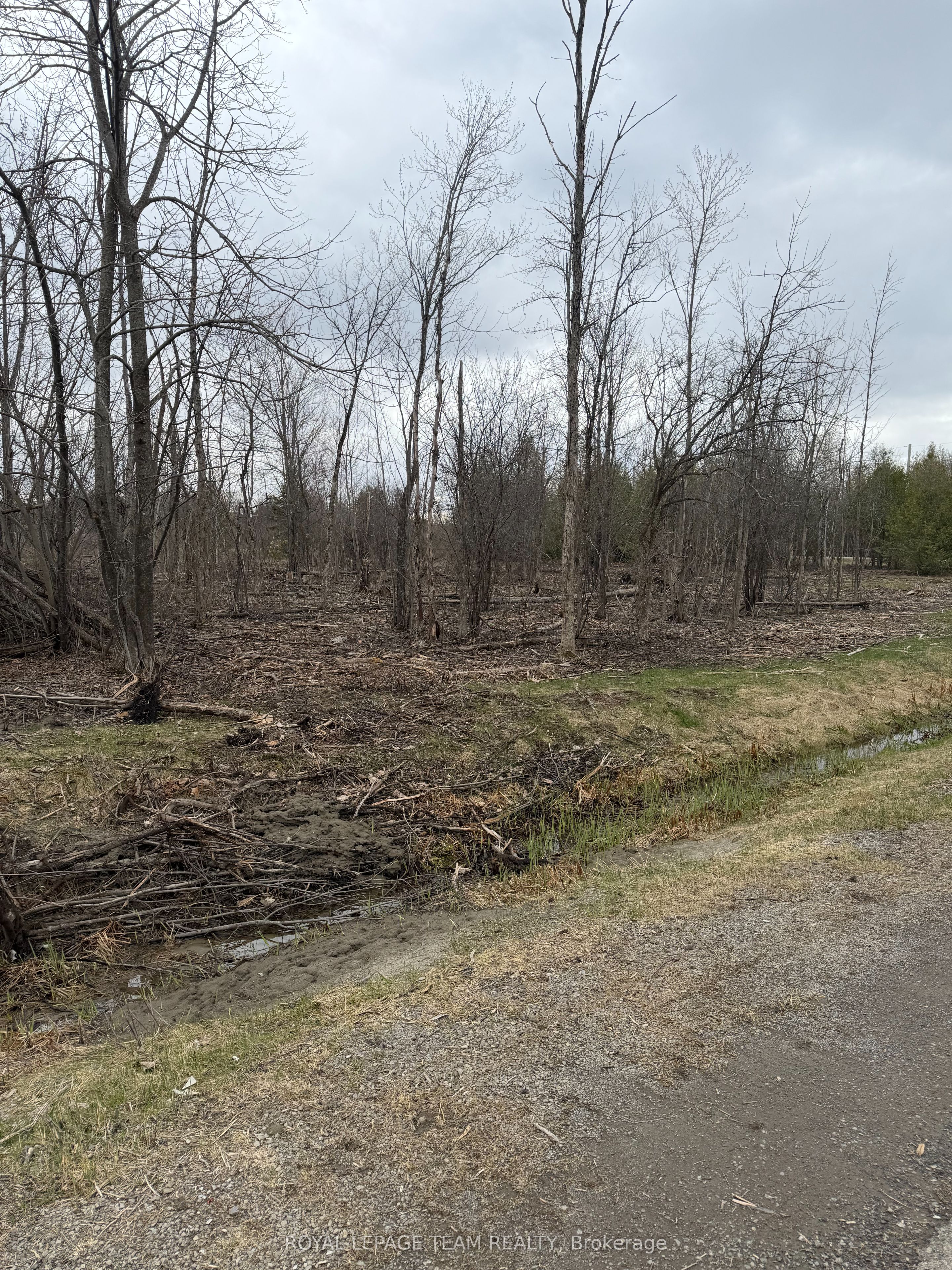 8074 Adam Baker Way Property Photo 5