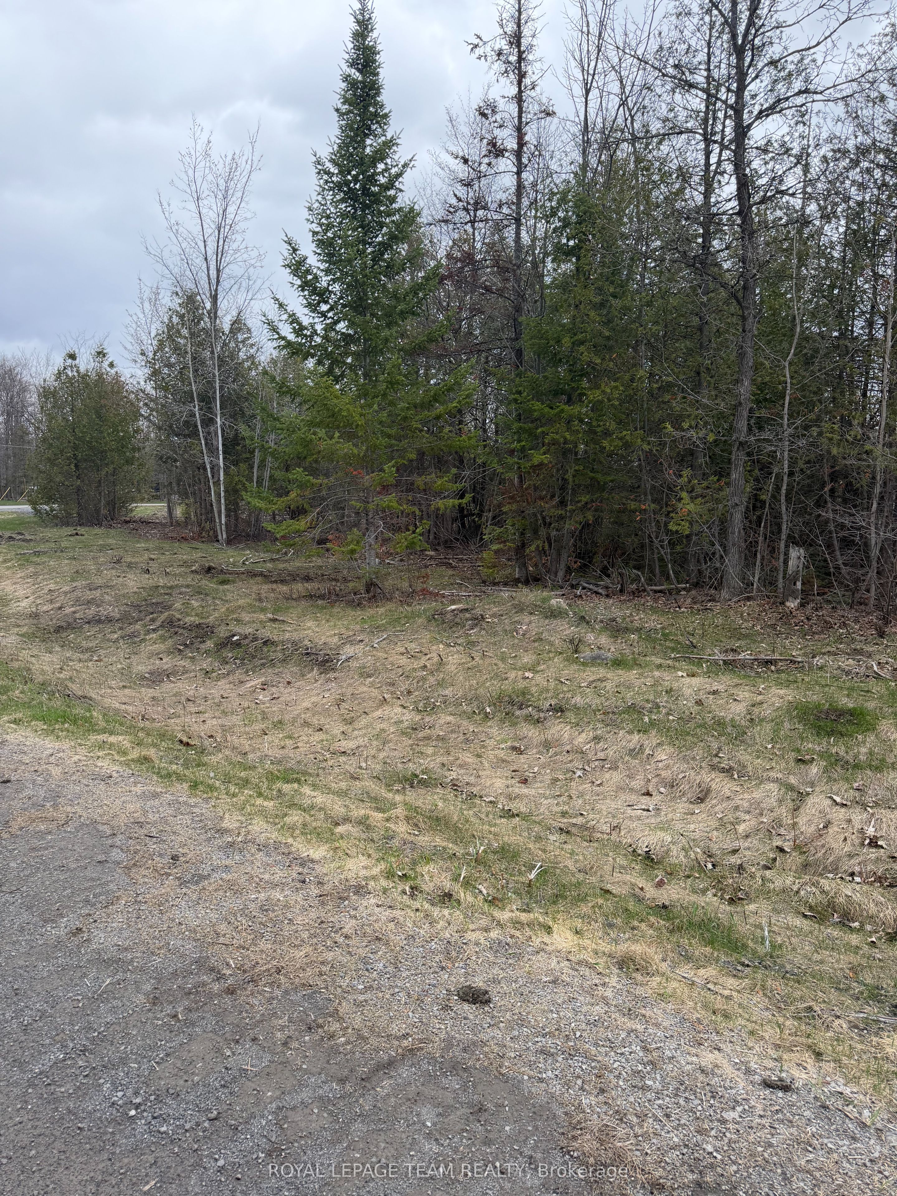 8074 Adam Baker Way Property Photo 8