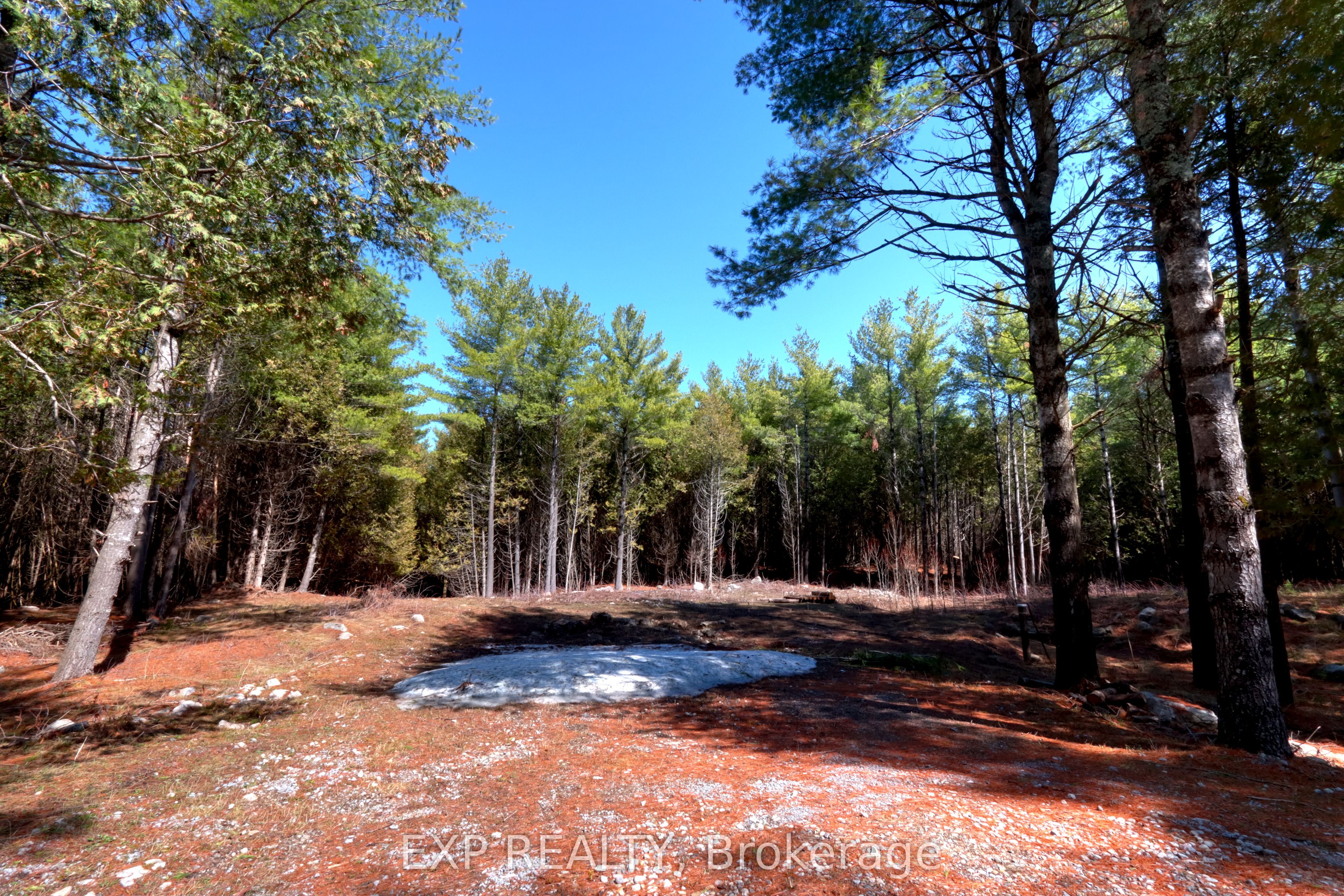 593 County 40 Road Property Photo 1