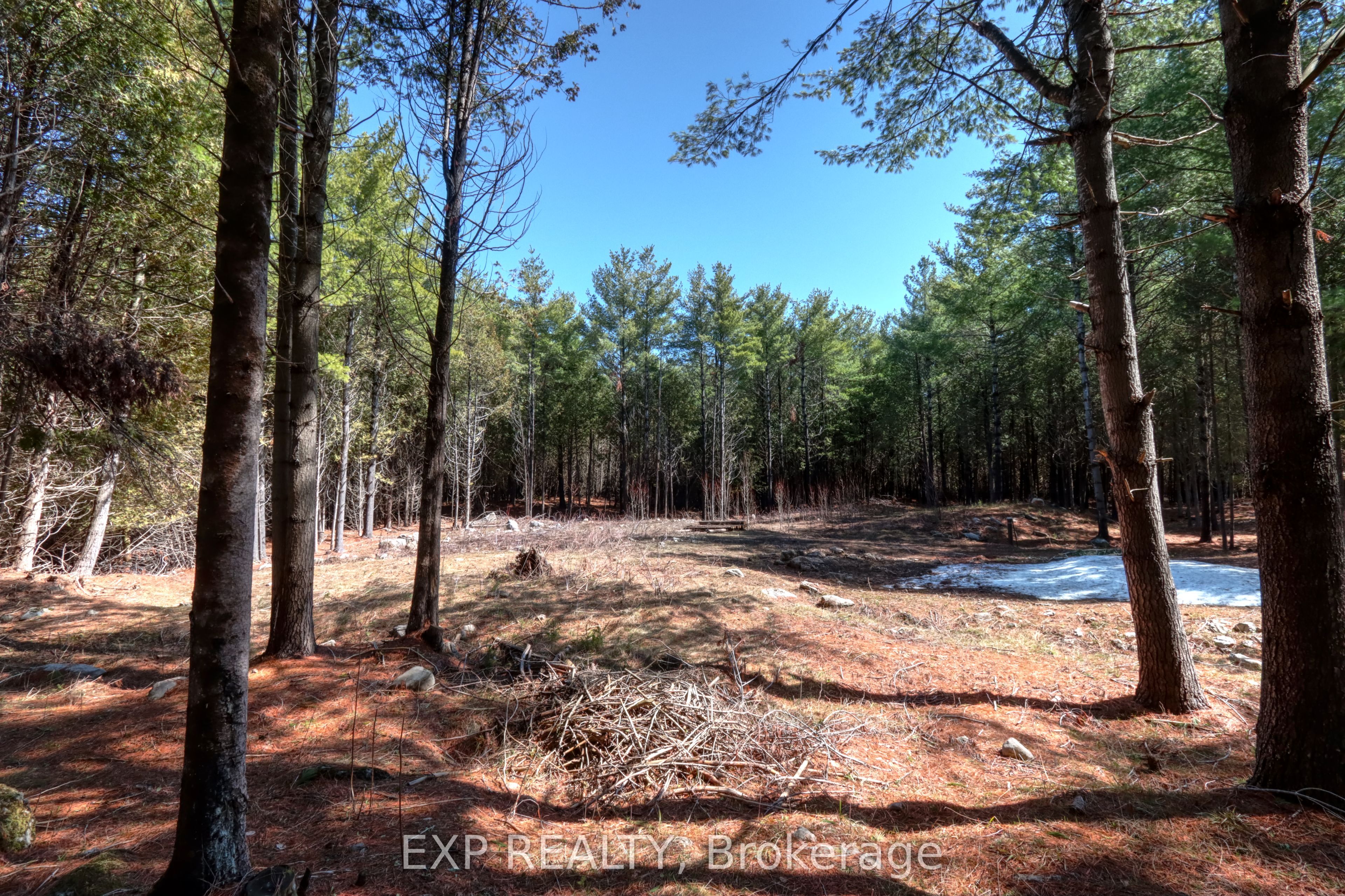 593 County 40 Road Property Photo 2
