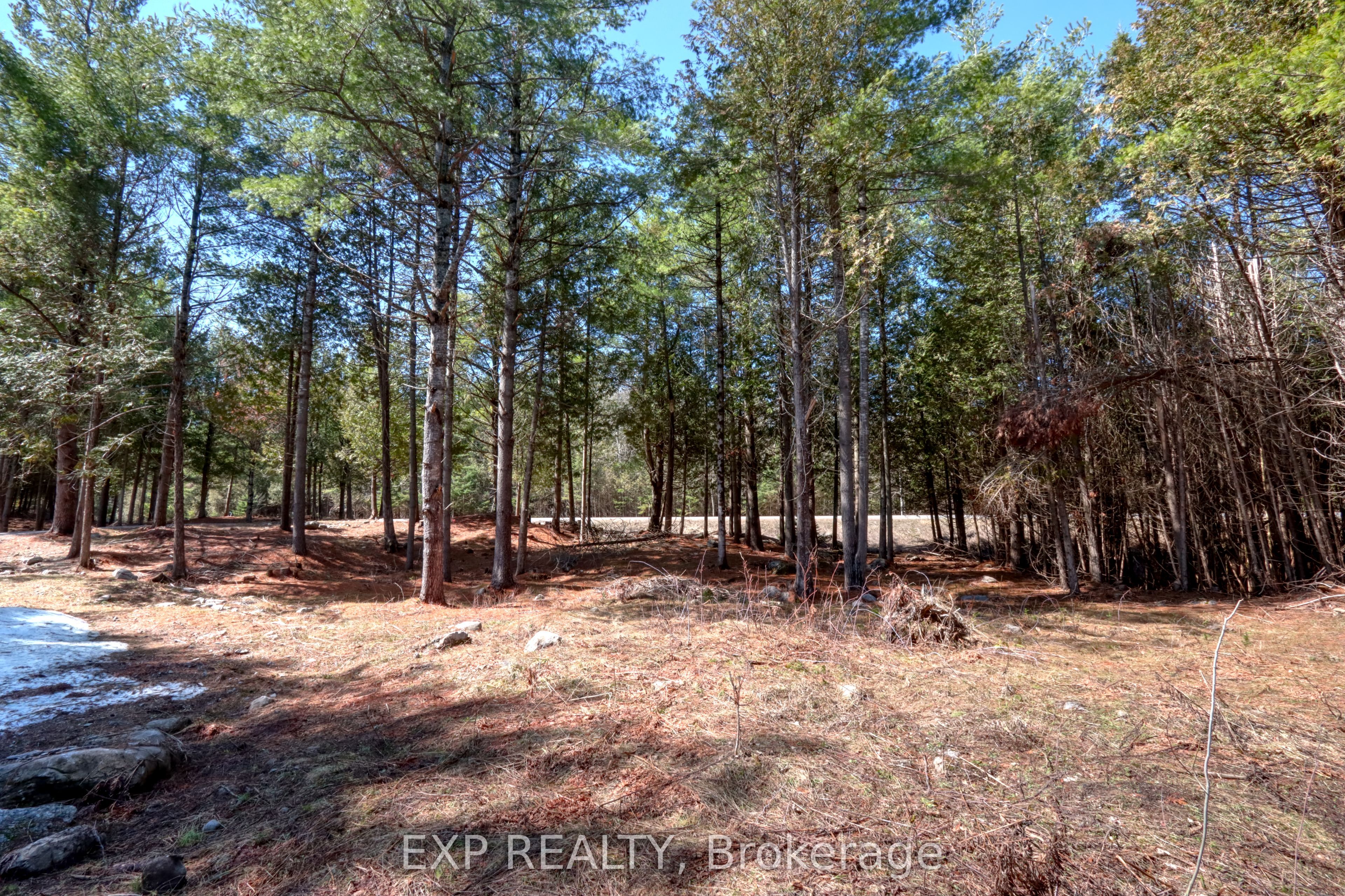 593 County 40 Road Property Photo 3