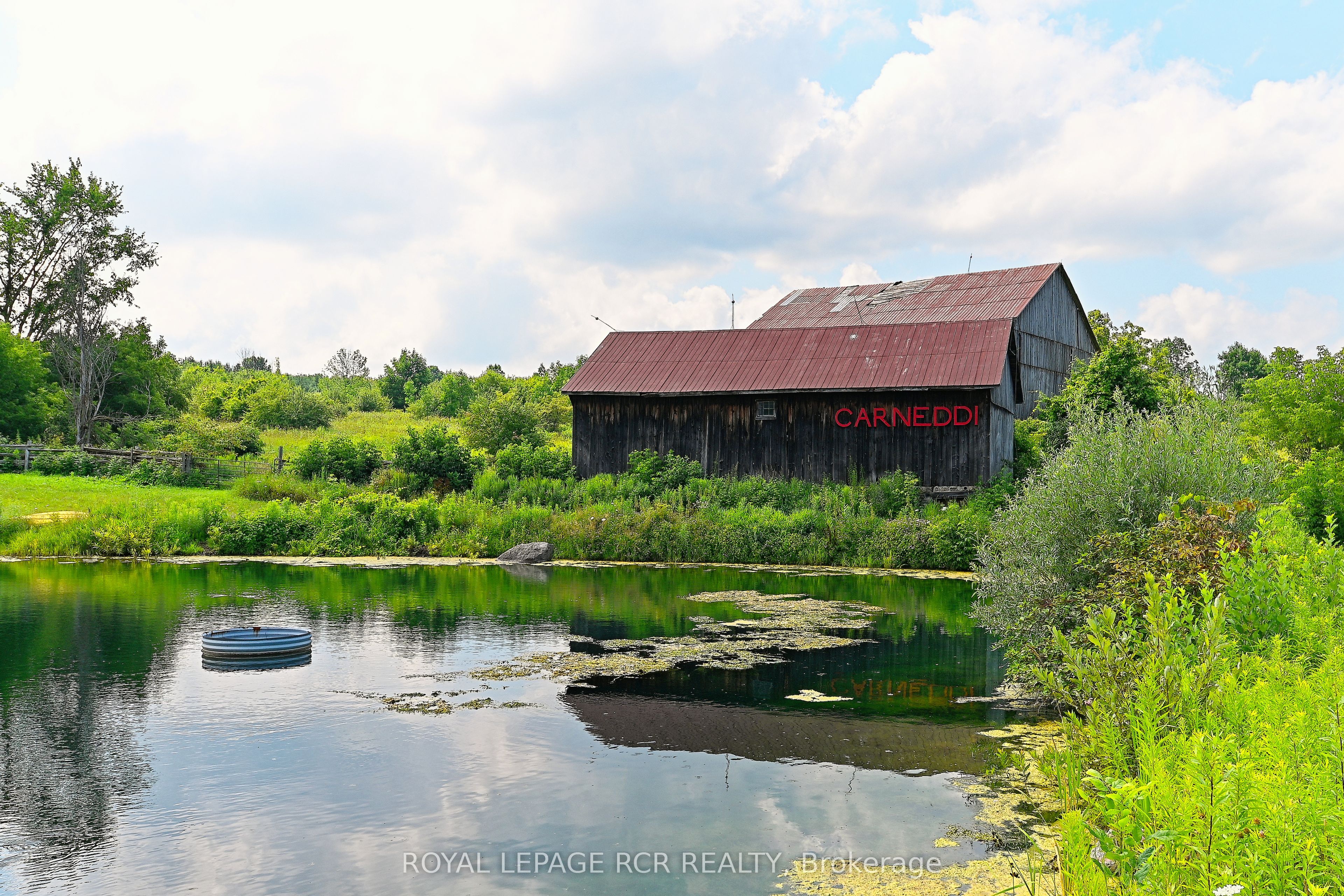836206 4th Line Property Photo 41