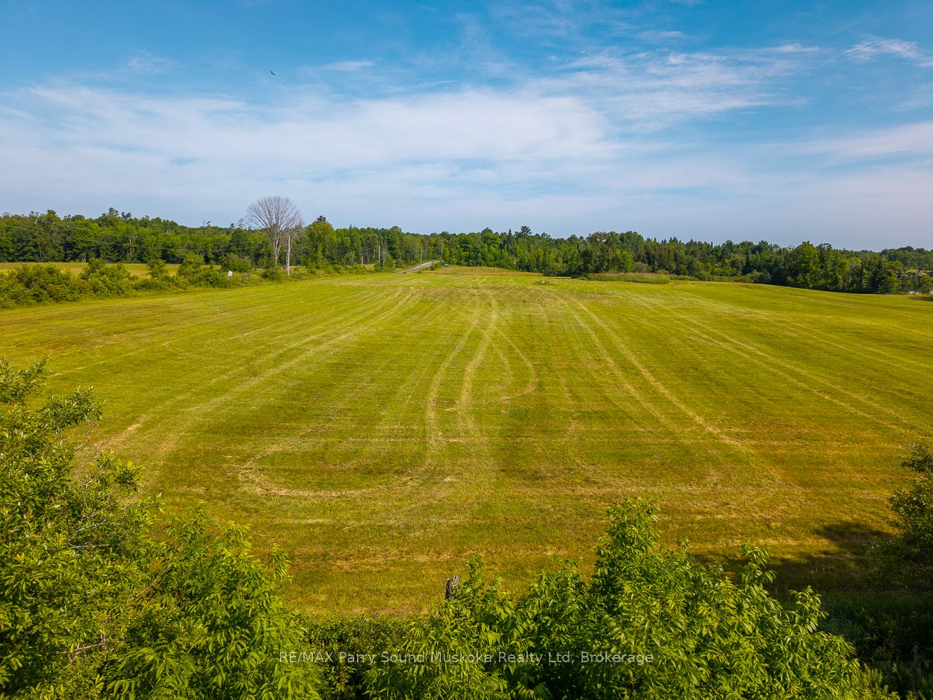 515 Balsam Road Property Photo 17