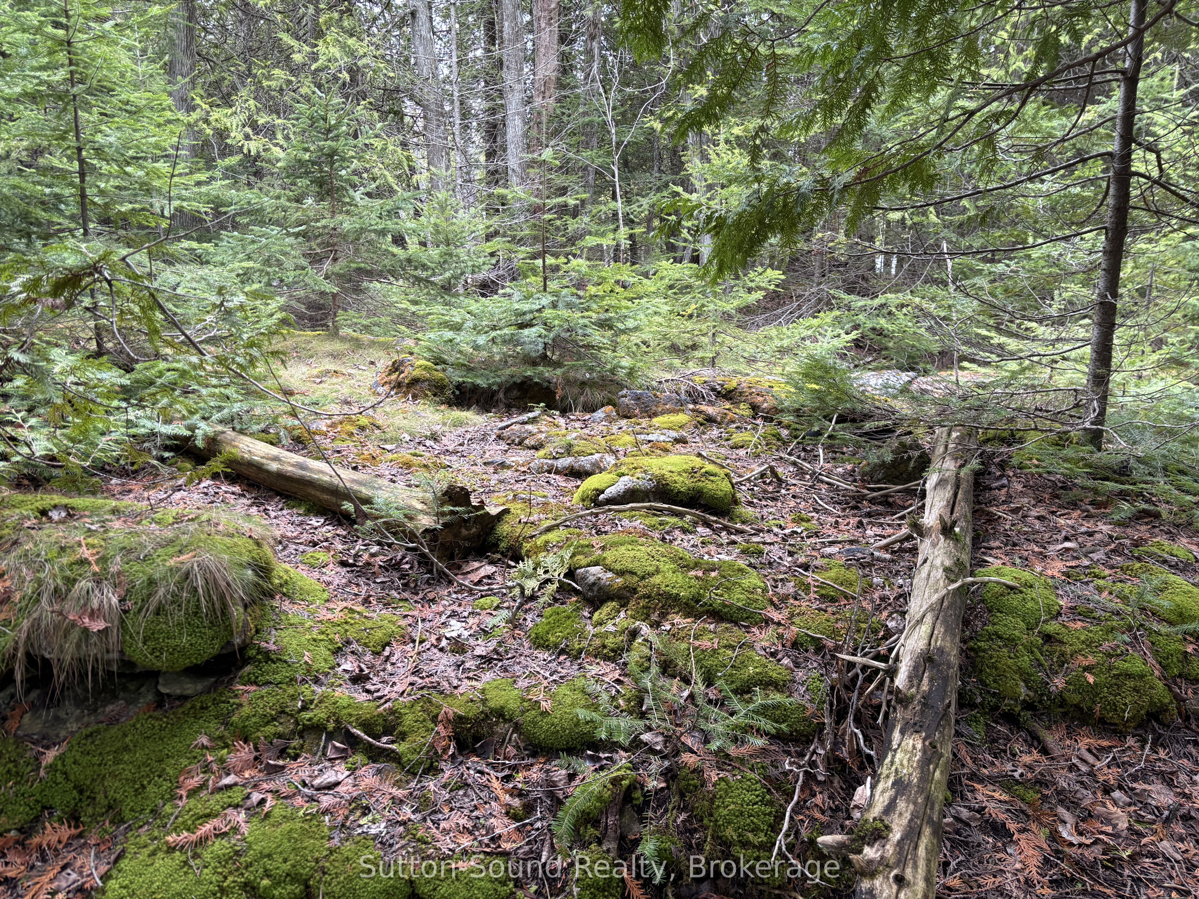 Pt Lt35 Con 3 Wbr Pt 77 Concession Property Photo 8