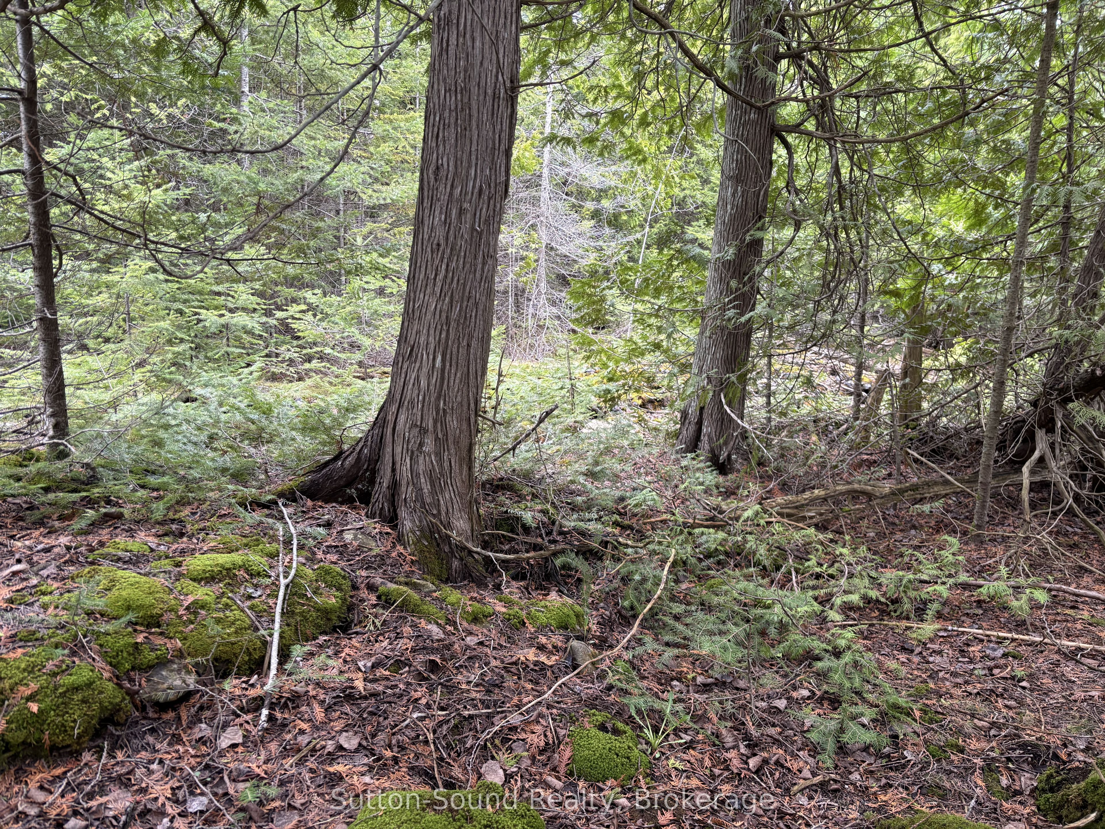 Pt Lt35 Con 3 Wbr Pt 77 Concession Property Photo 9