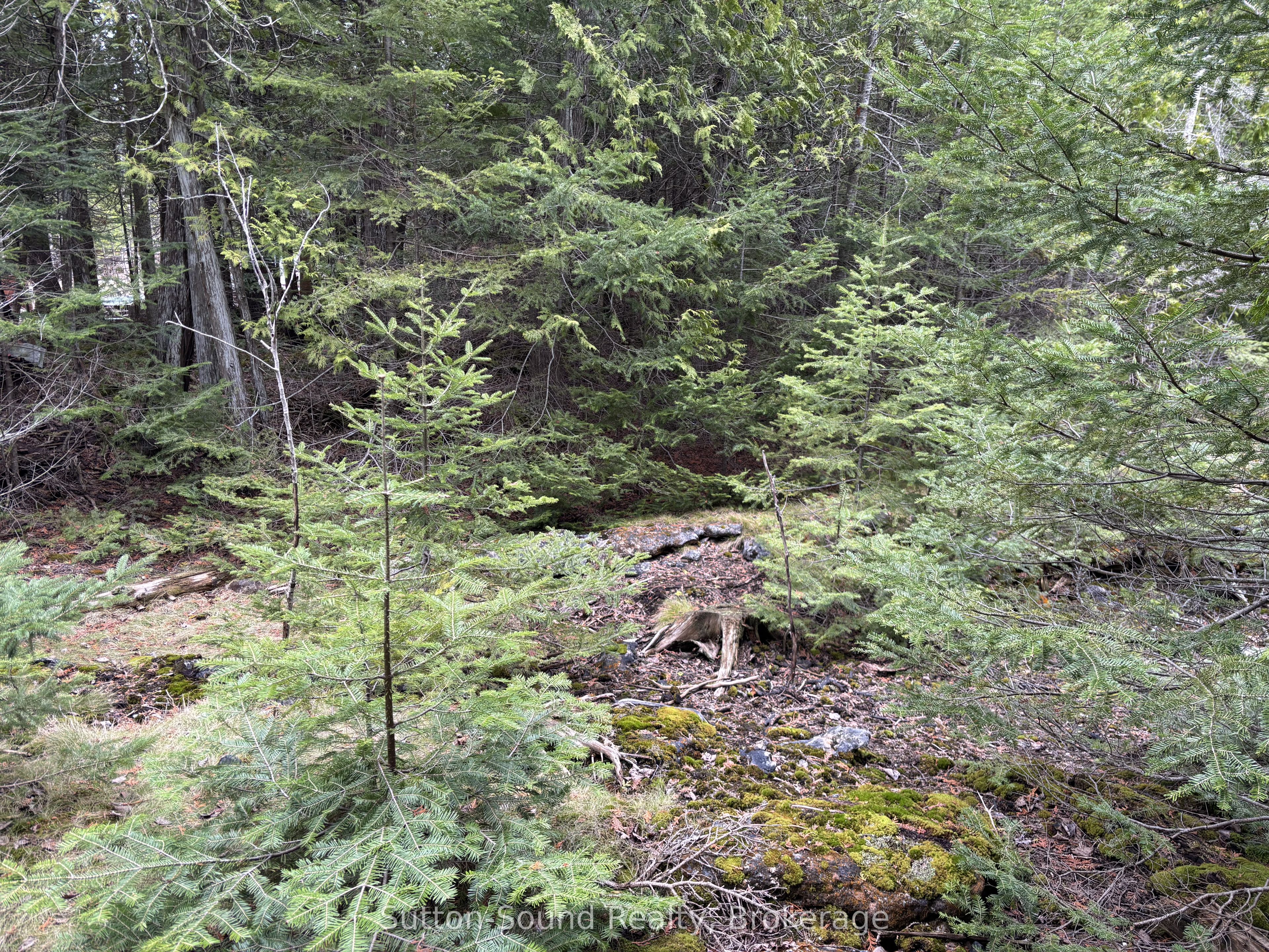 Pt Lt35 Con 3 Wbr Pt 77 Concession Property Photo 10