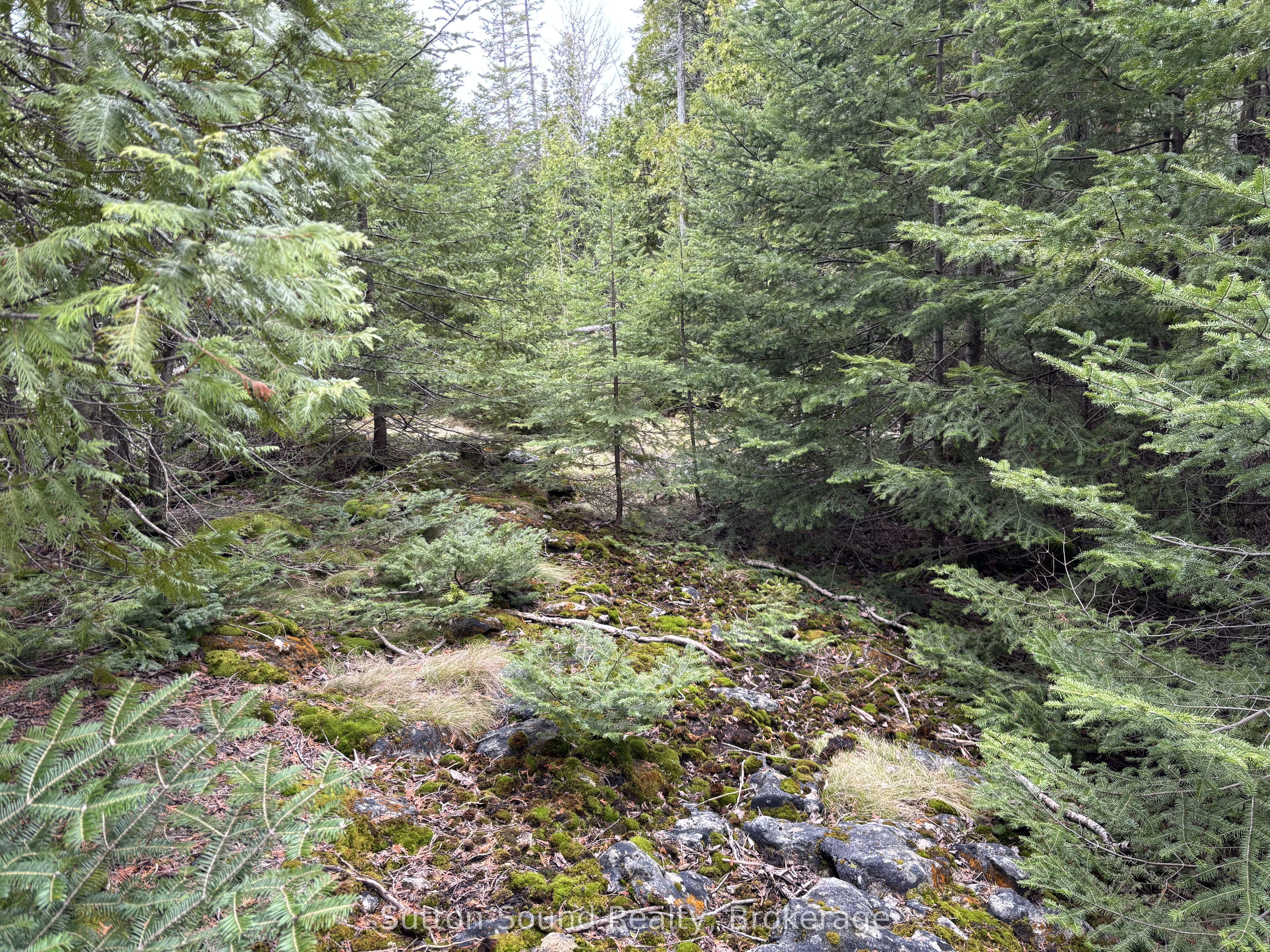 Pt Lt35 Con 3 Wbr Pt 77 Concession Property Photo 11