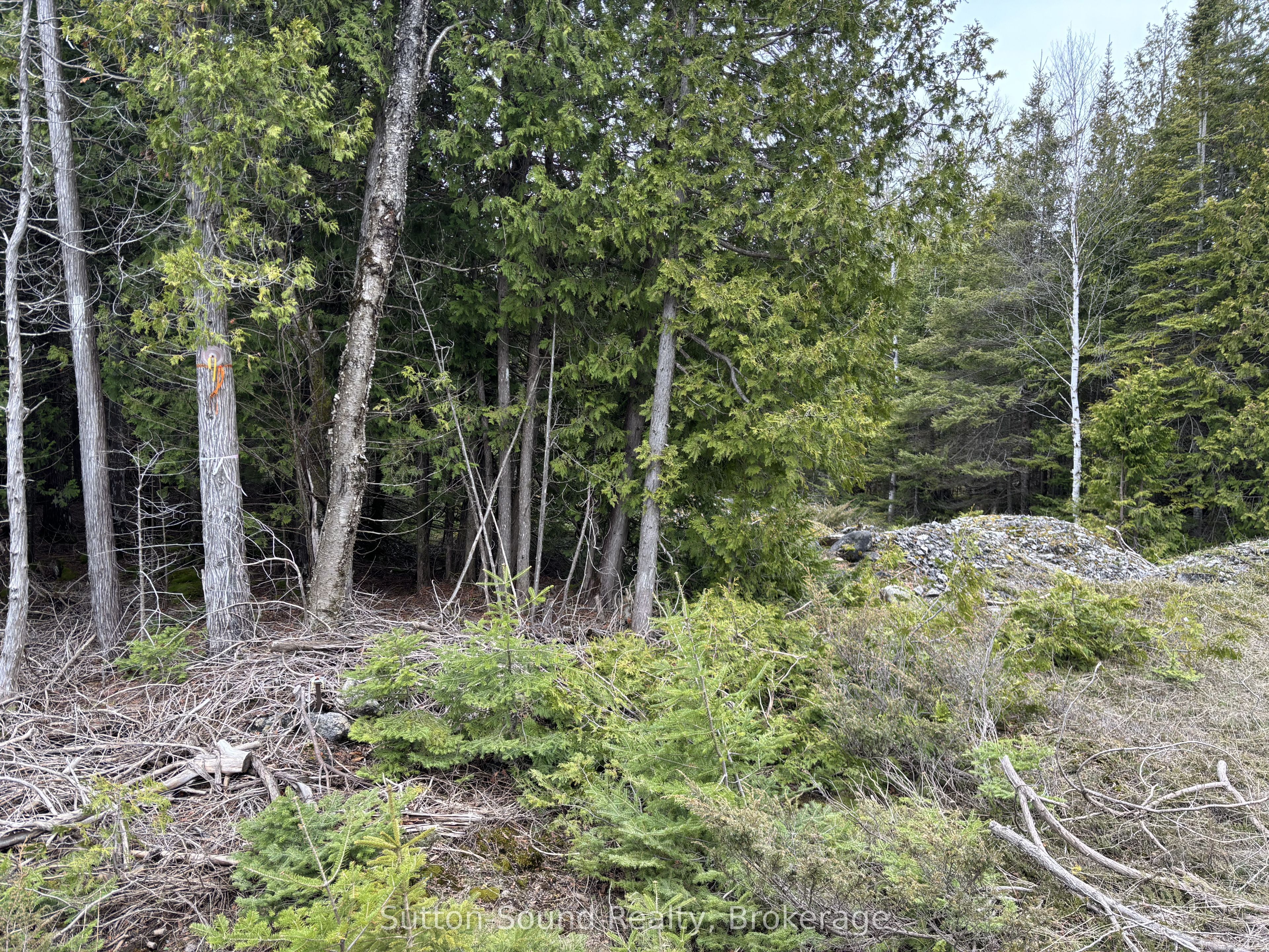 Pt Lt35 Con 3 Wbr Pt 77 Concession Property Photo 12