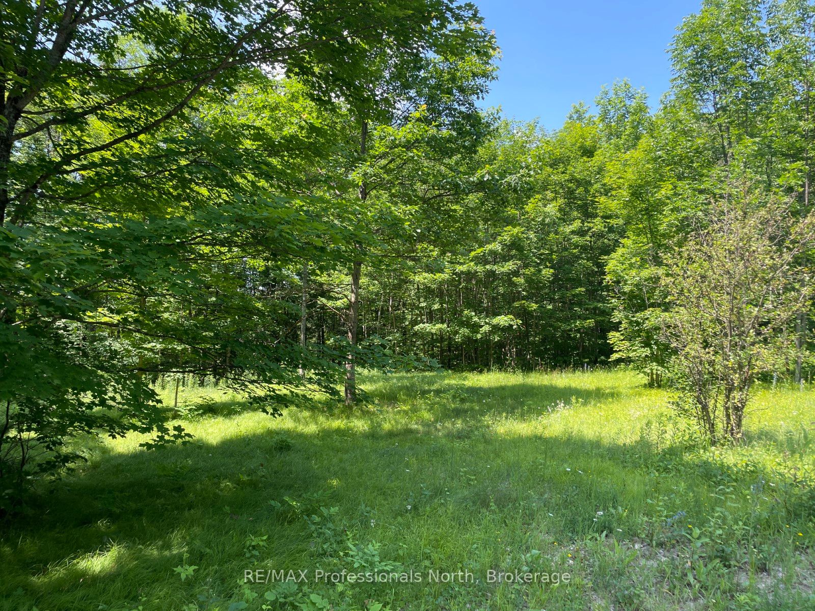 0 Glamor Lake Road Property Photo 1