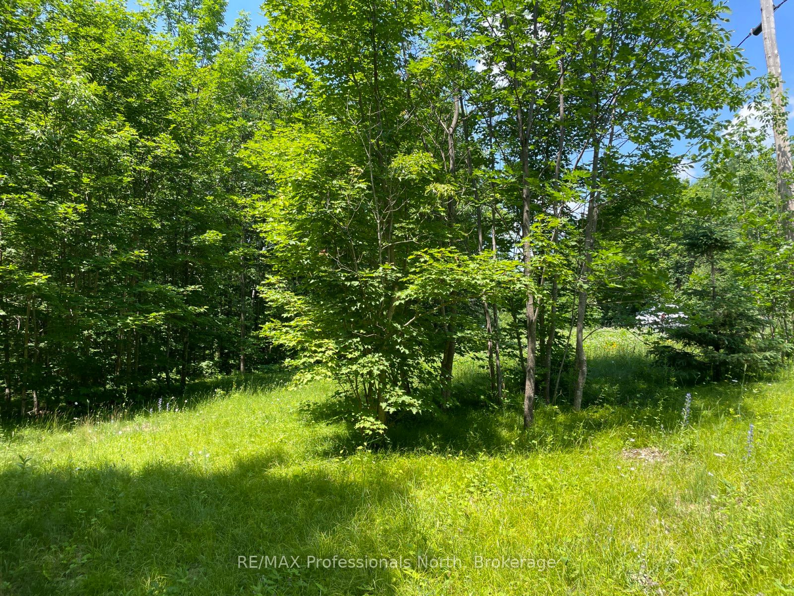 0 Glamor Lake Road Property Photo 2