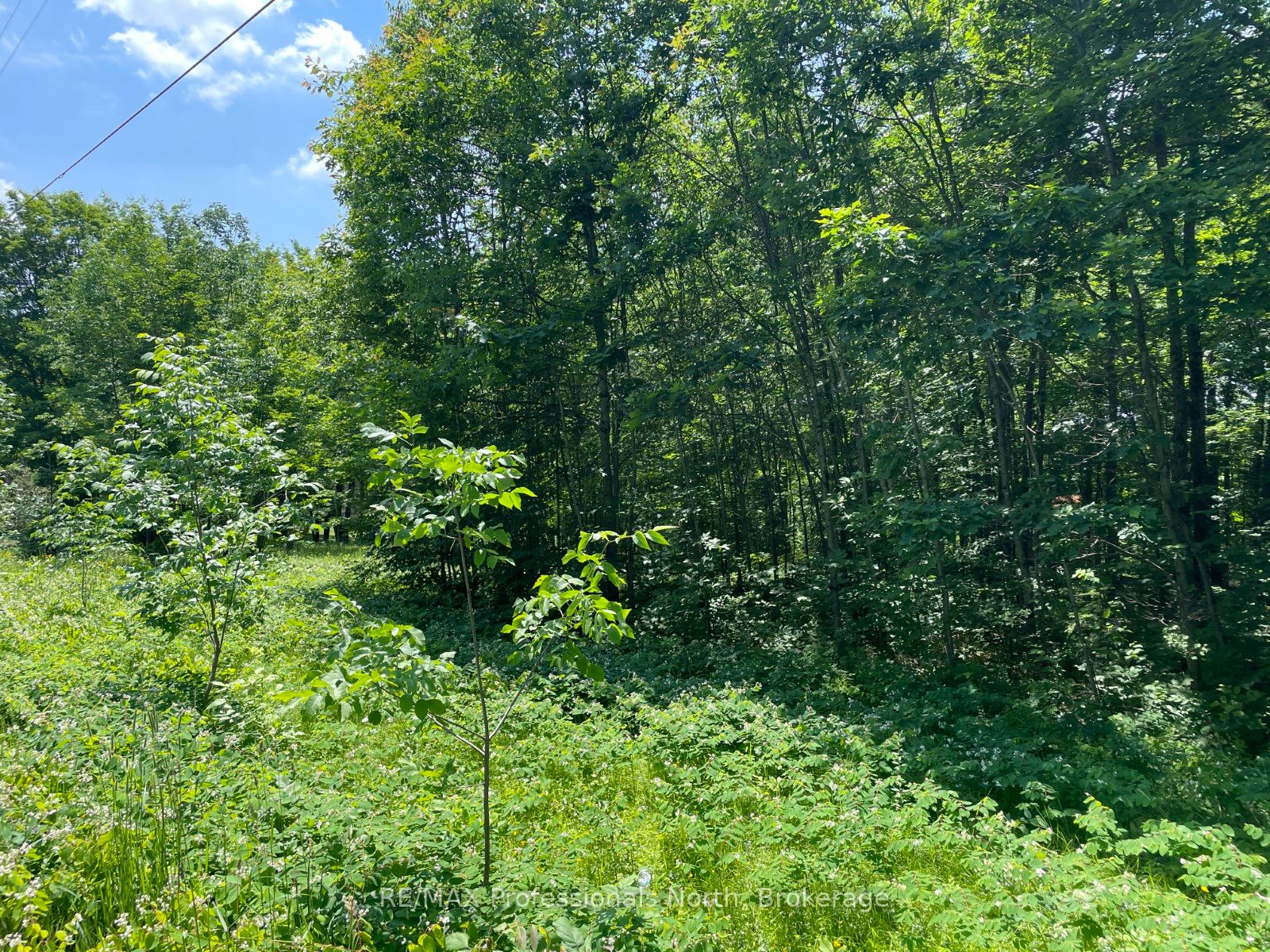0 Glamor Lake Road Property Photo 4