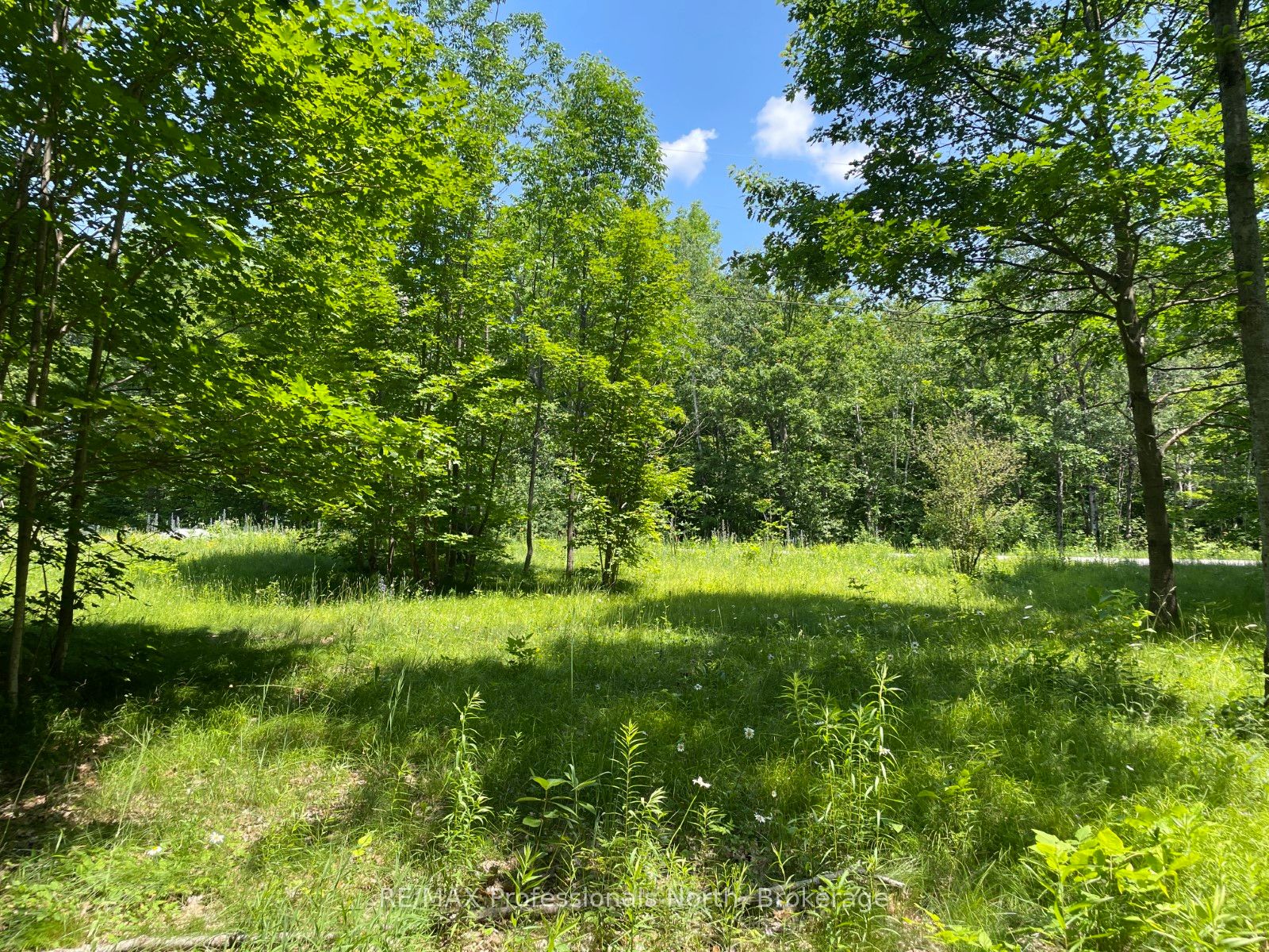 0 Glamor Lake Road Property Photo 7