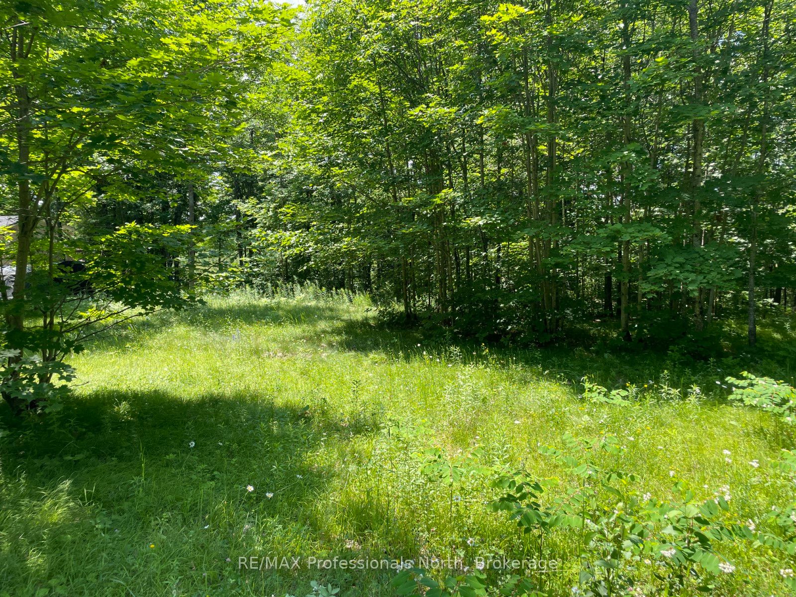 0 Glamor Lake Road Property Photo 11