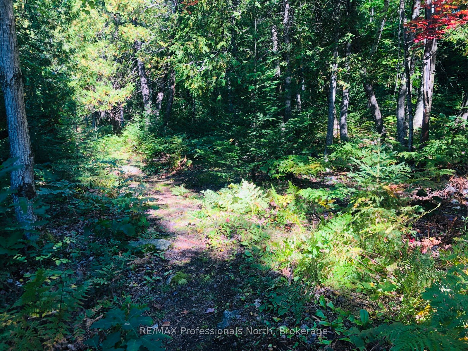 0 Glamor Lake Road Property Photo 15