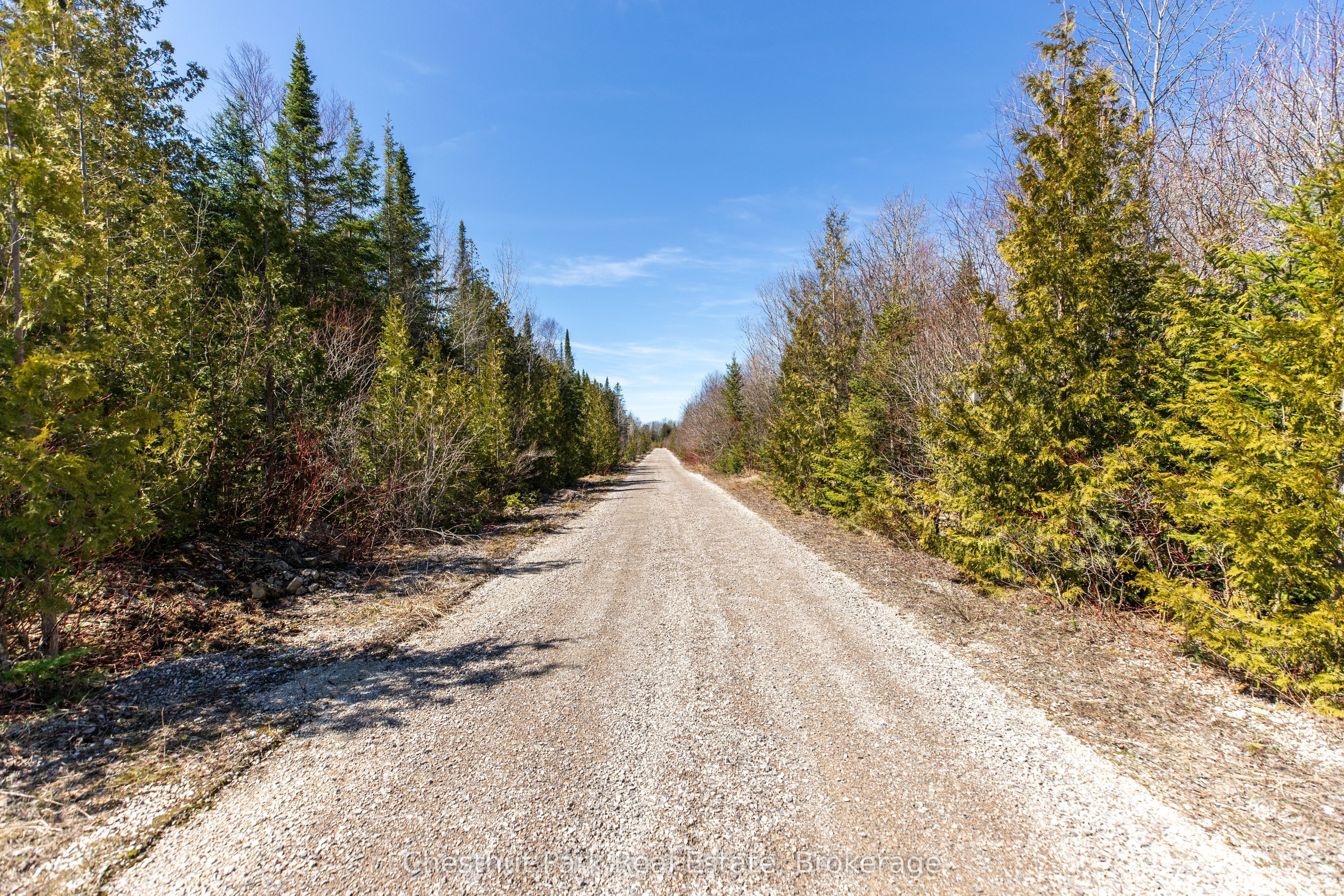 1137 Sunset Drive Property Photo 4