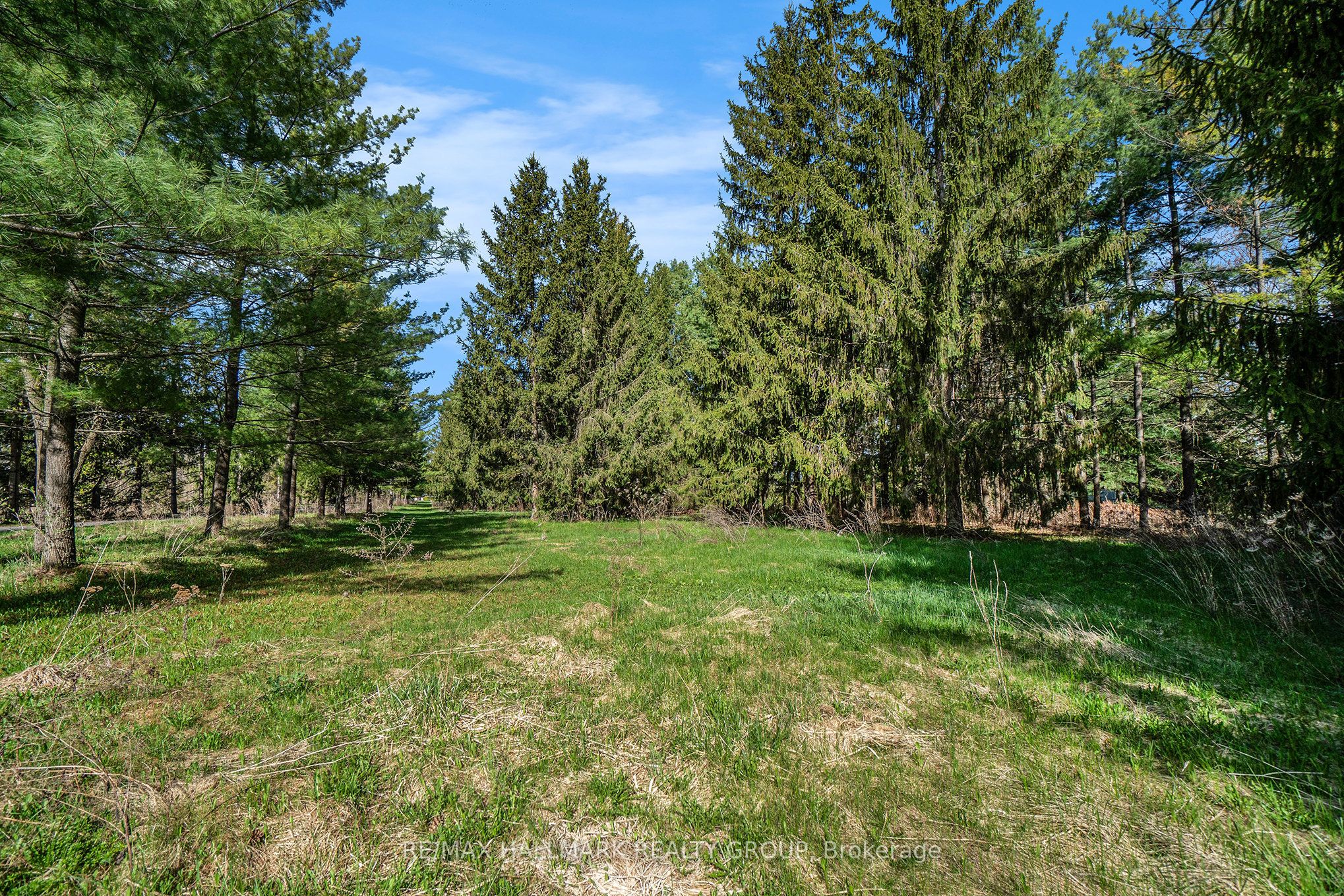 942 Cameron Street Property Photo 4