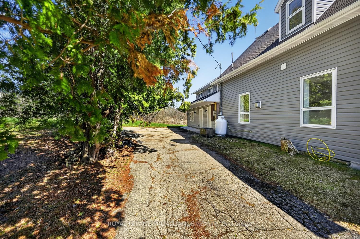 13 King Street Property Photo 44