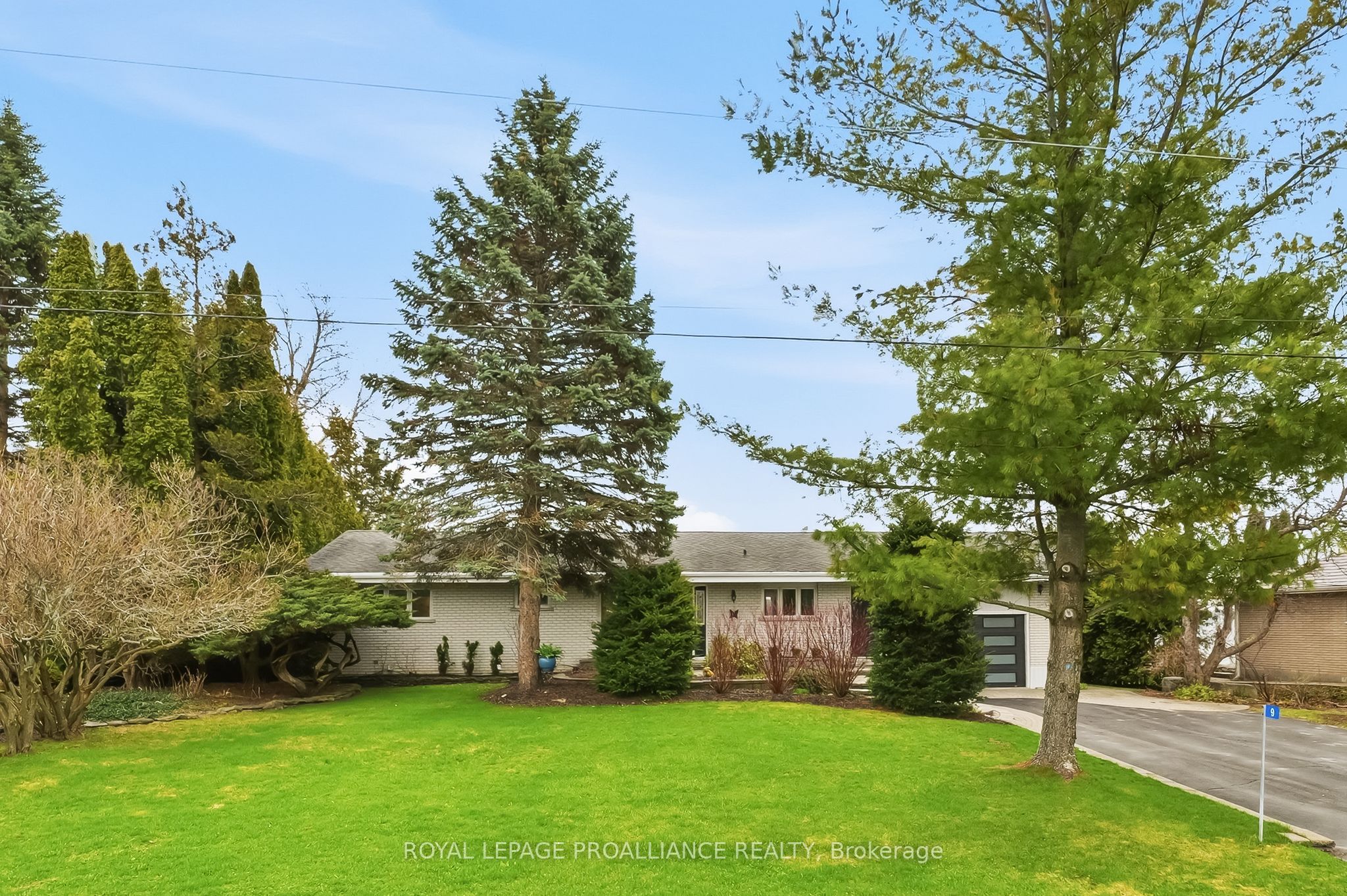9 Dorthy Drive Property Photo 4